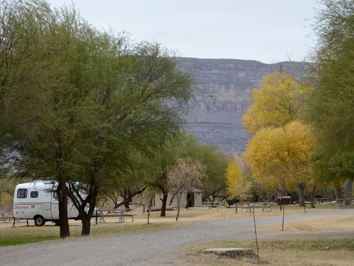 Tree lined campground