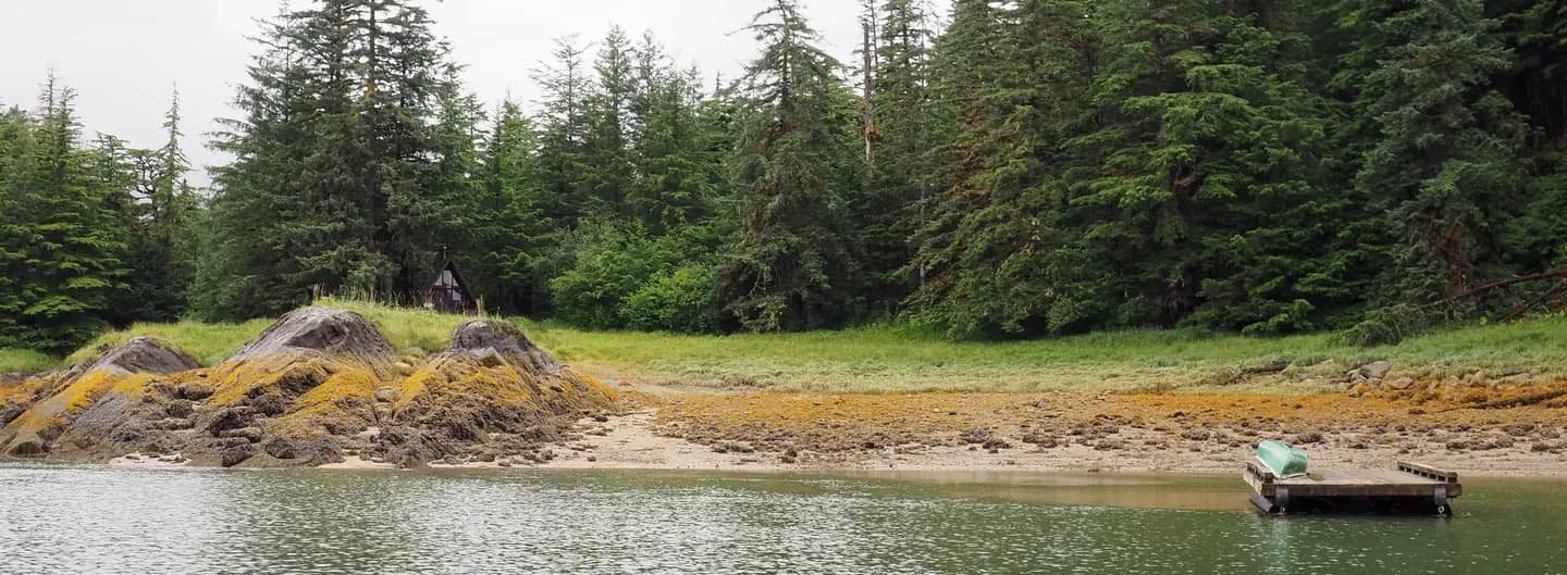 Brown A-frame Berg Bay Cabin with large green trees surrounding it, with water and grasses in the foreground.