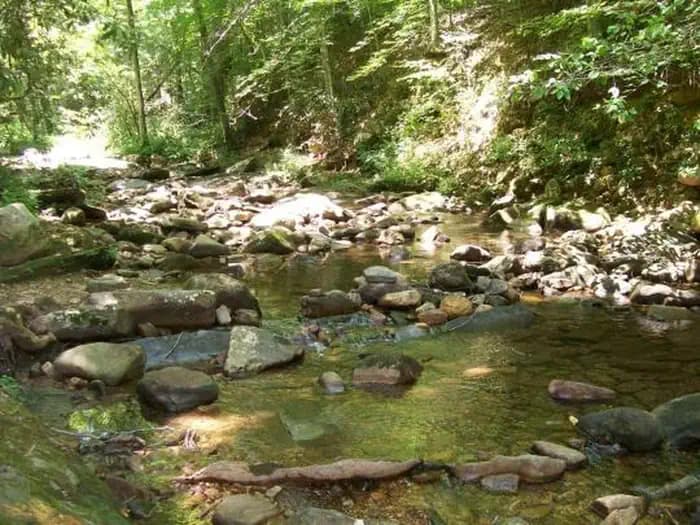 Creek running alongside campground