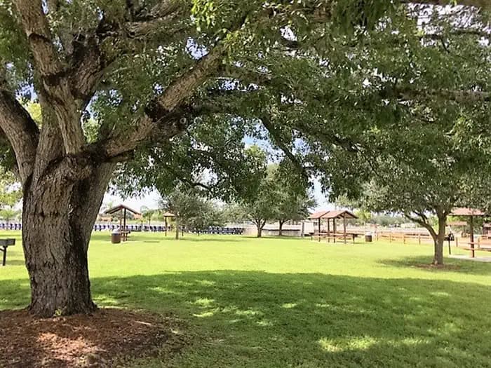 Picnic Sites at W.P. Franklin South Recreation Area