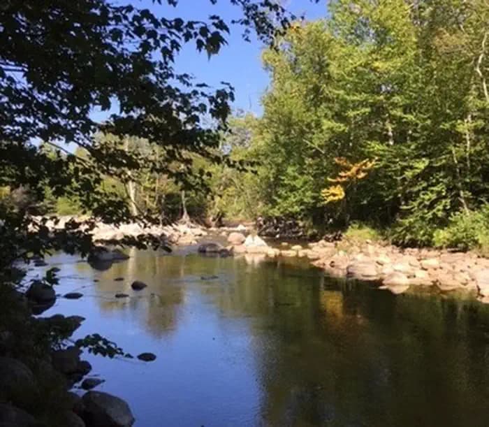 A short walk from the campground