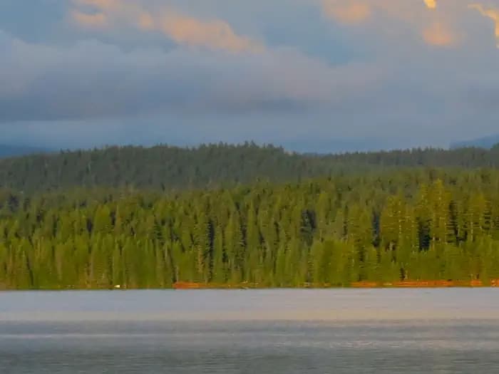 Looking out from Oak Fork at Timothy Lake
