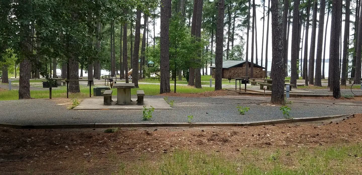 Campsite in Piney Point Park at Wright Patman Lake