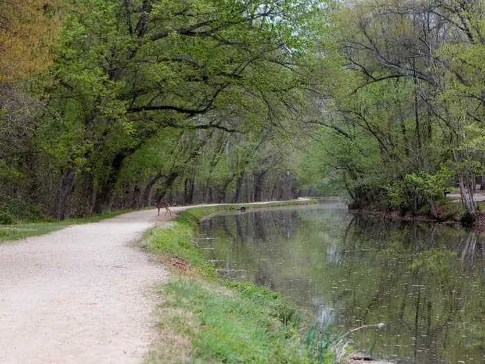 Towpath near Marsden Tract