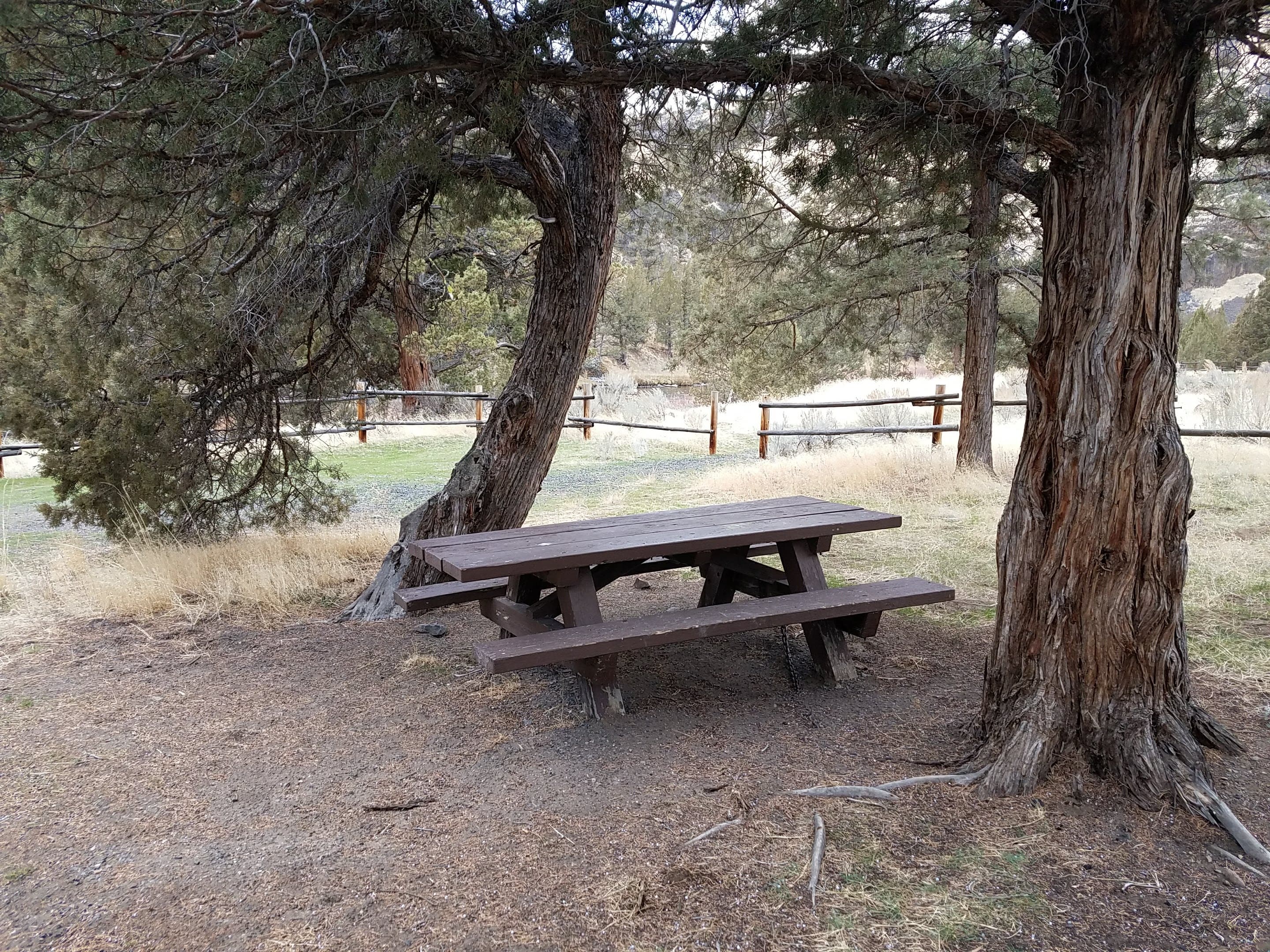 Picnic table at Upper Lone Pine Day-Use Area