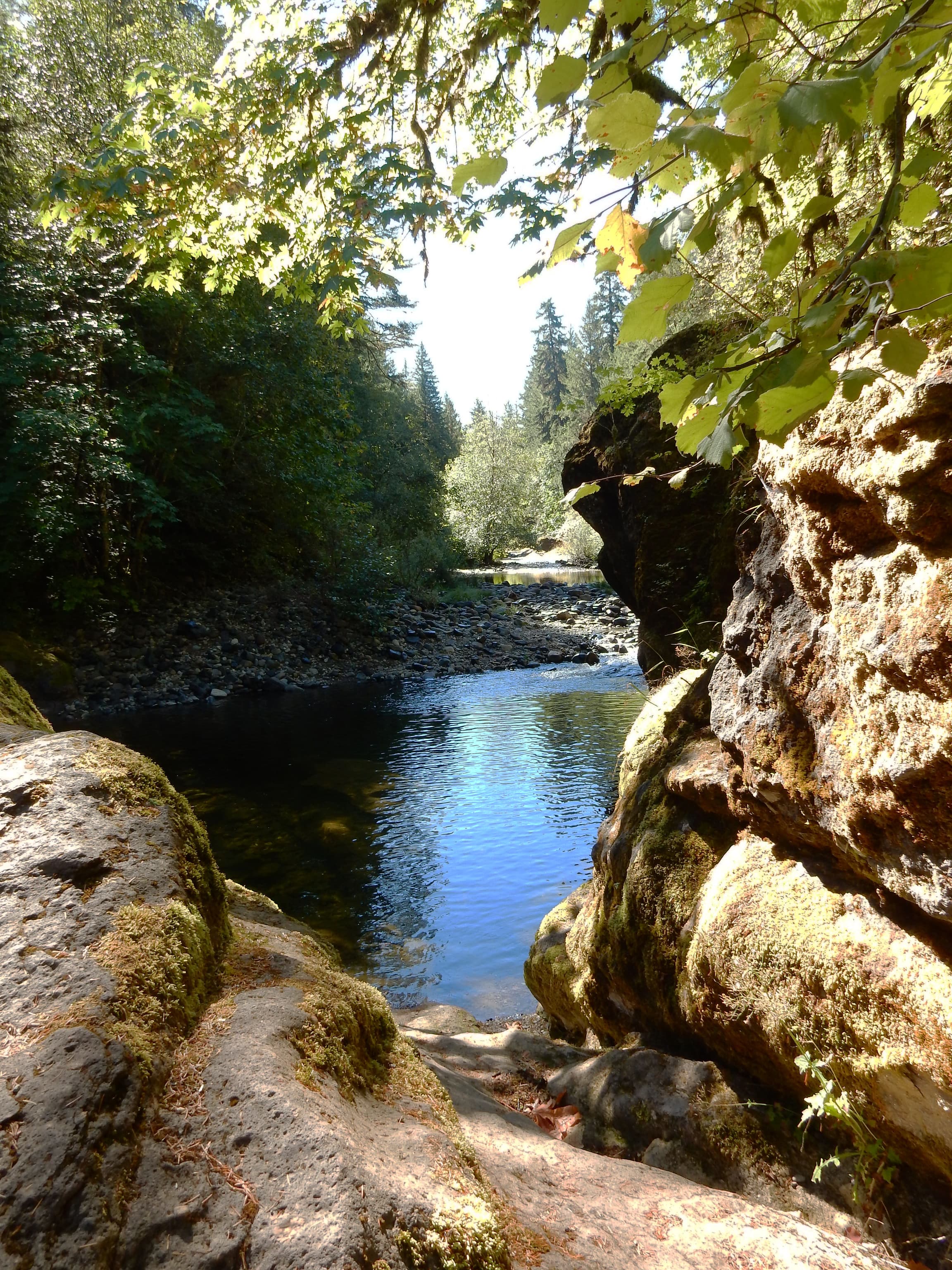 View of Sharps Creek