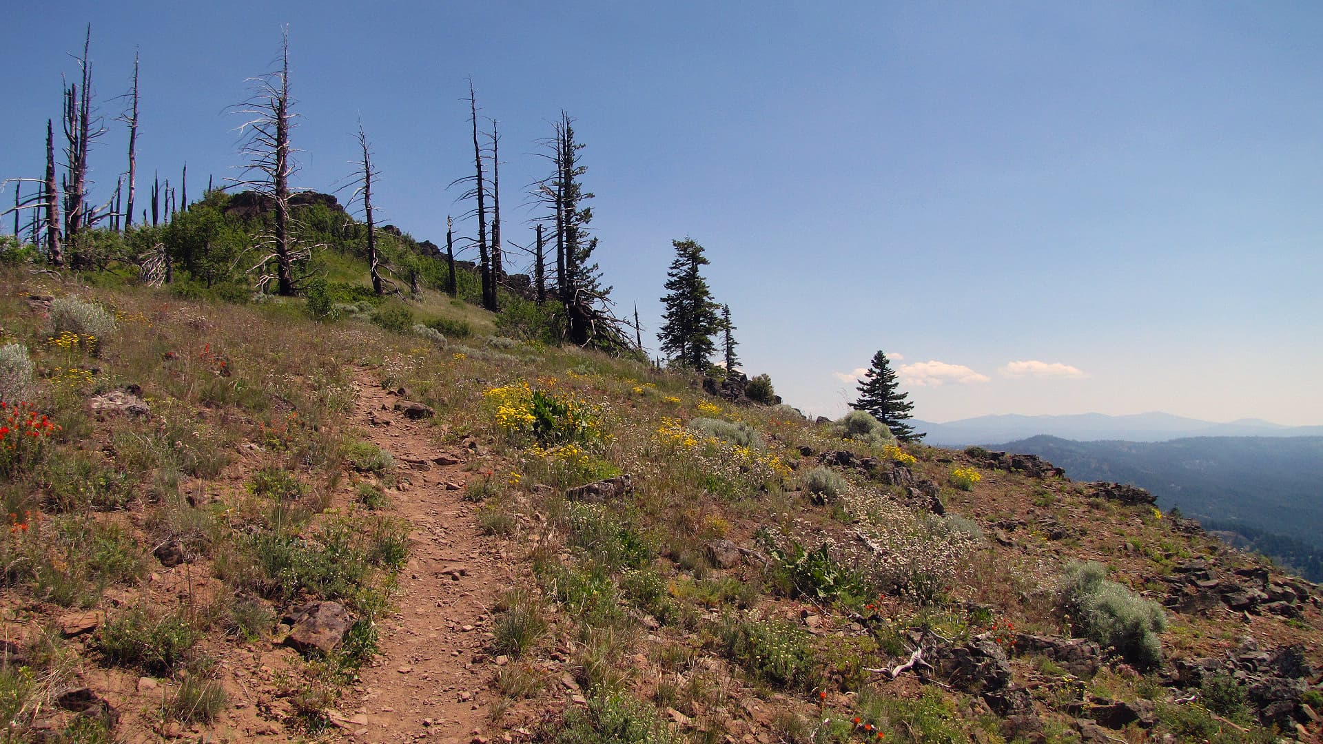 View near the top on the Grizzly Peak Trail