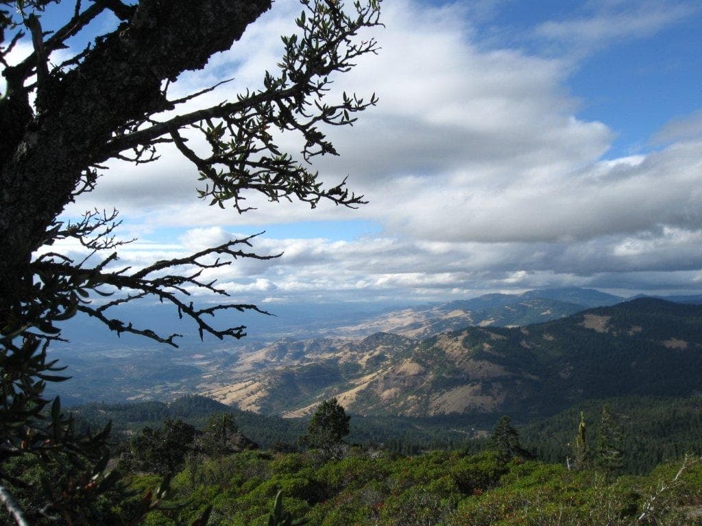 Hobart Bluff toward Grizzly Peak