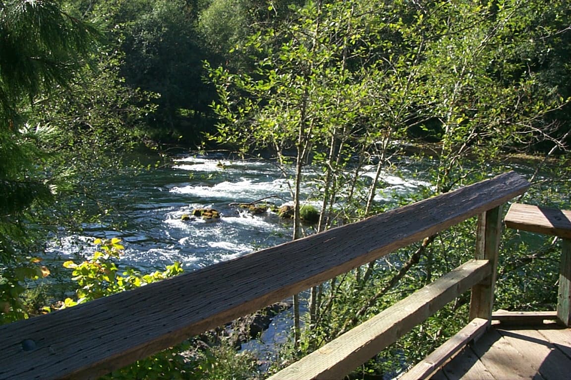 View from the Watchable Wildlife platform