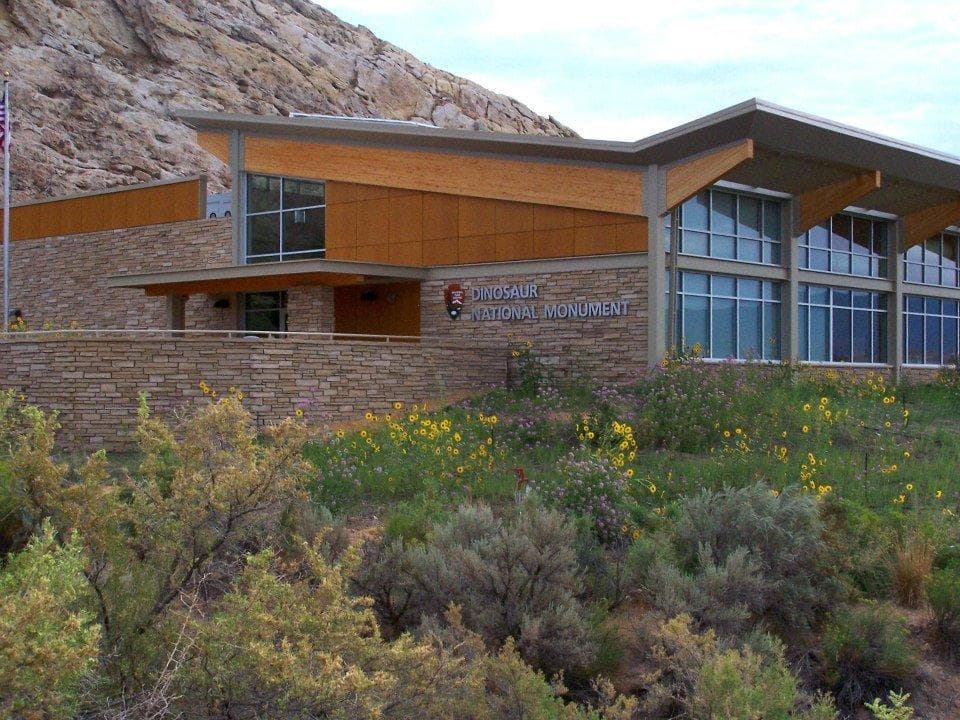 Wildflowers at the Quarry Visitor Center