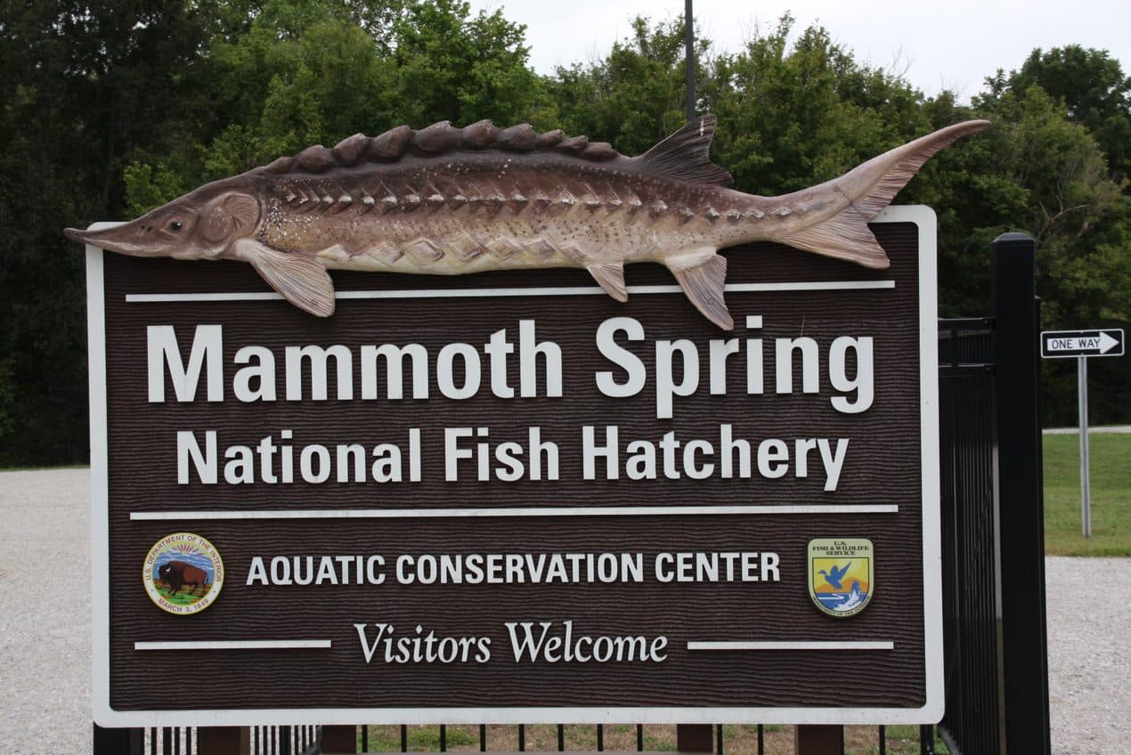 Welcome to Mammoth Spring National Fish Hatchery