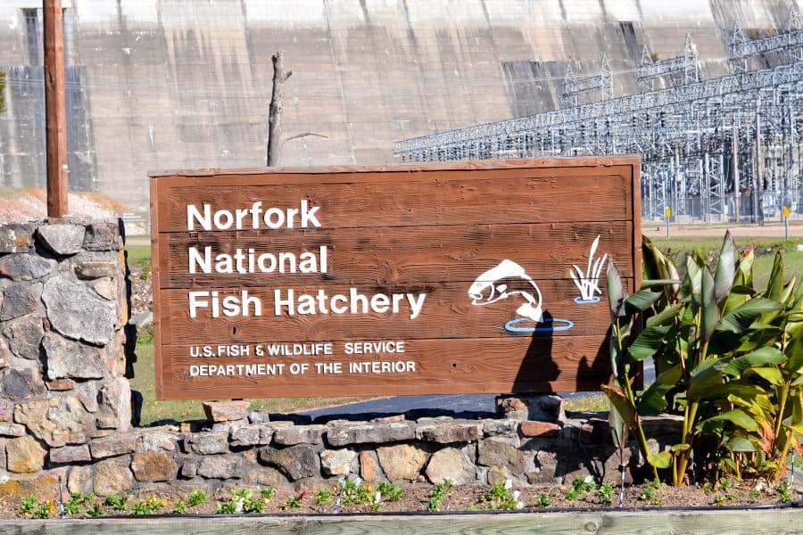 Welcome to Norfork National Fish Hatchery