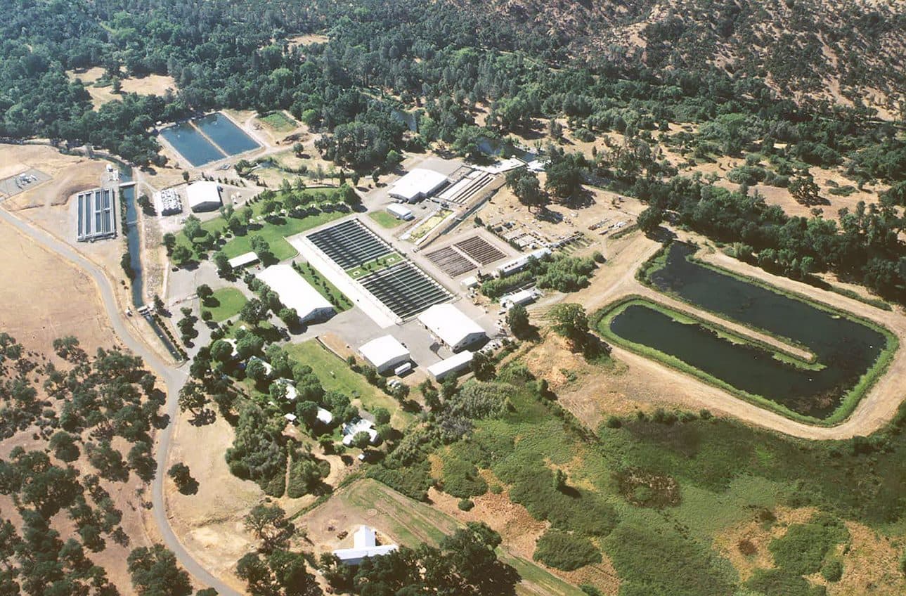 A Look at Coleman National Fish Hatchery Grounds