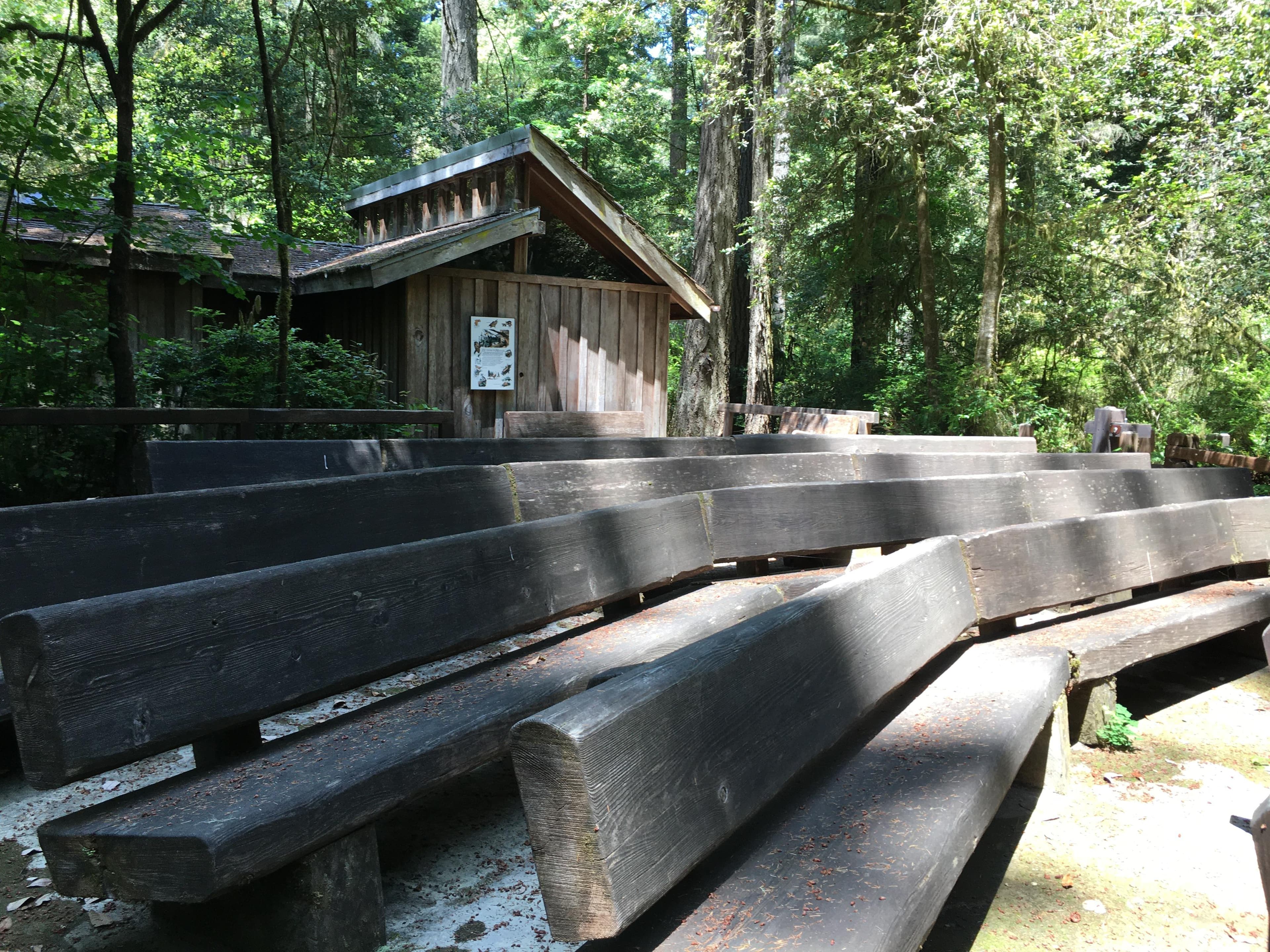 Jedediah Smith Visitor Center and amphitheater.