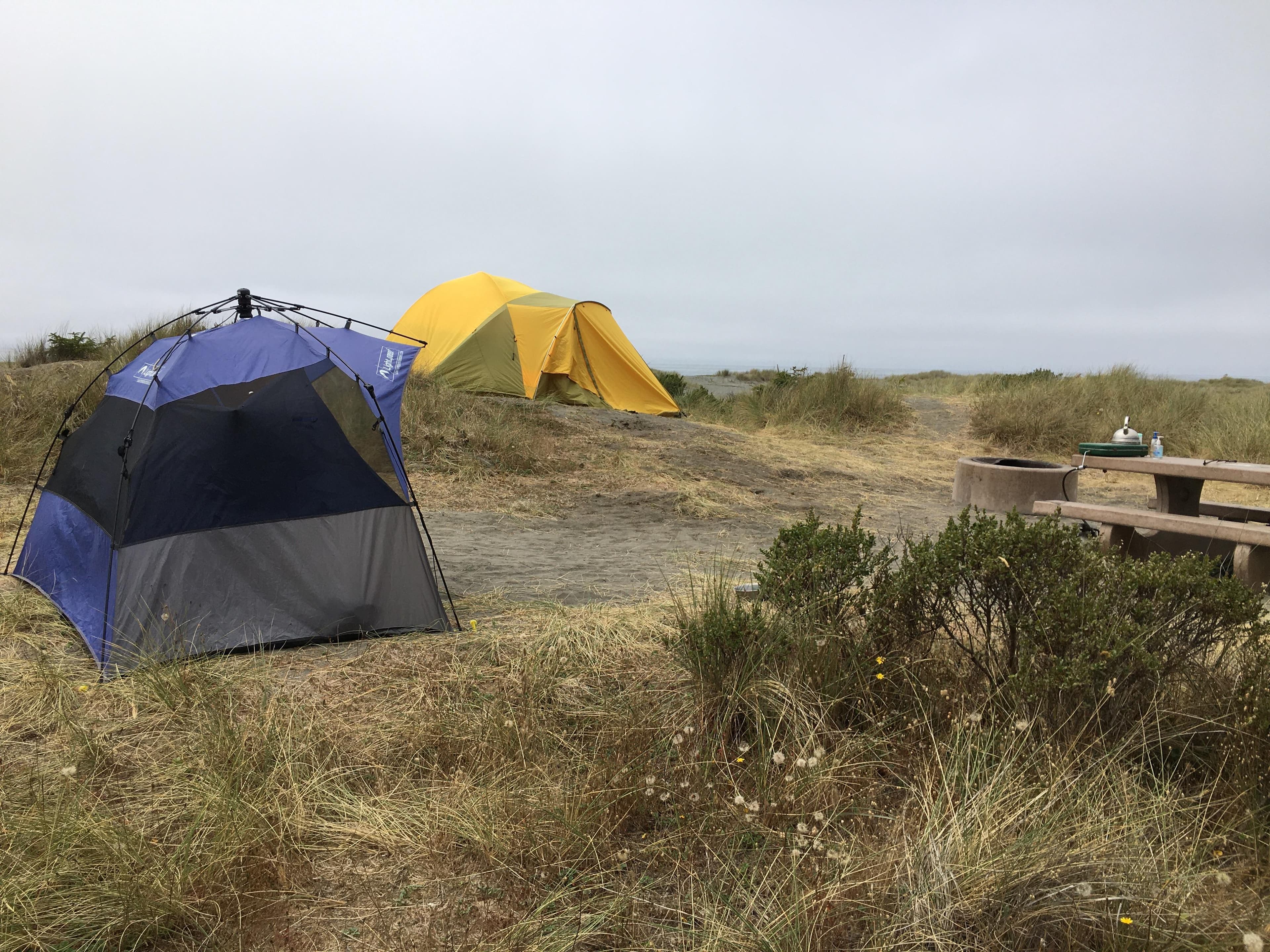 Tents at Gold Bluffs Beach campground