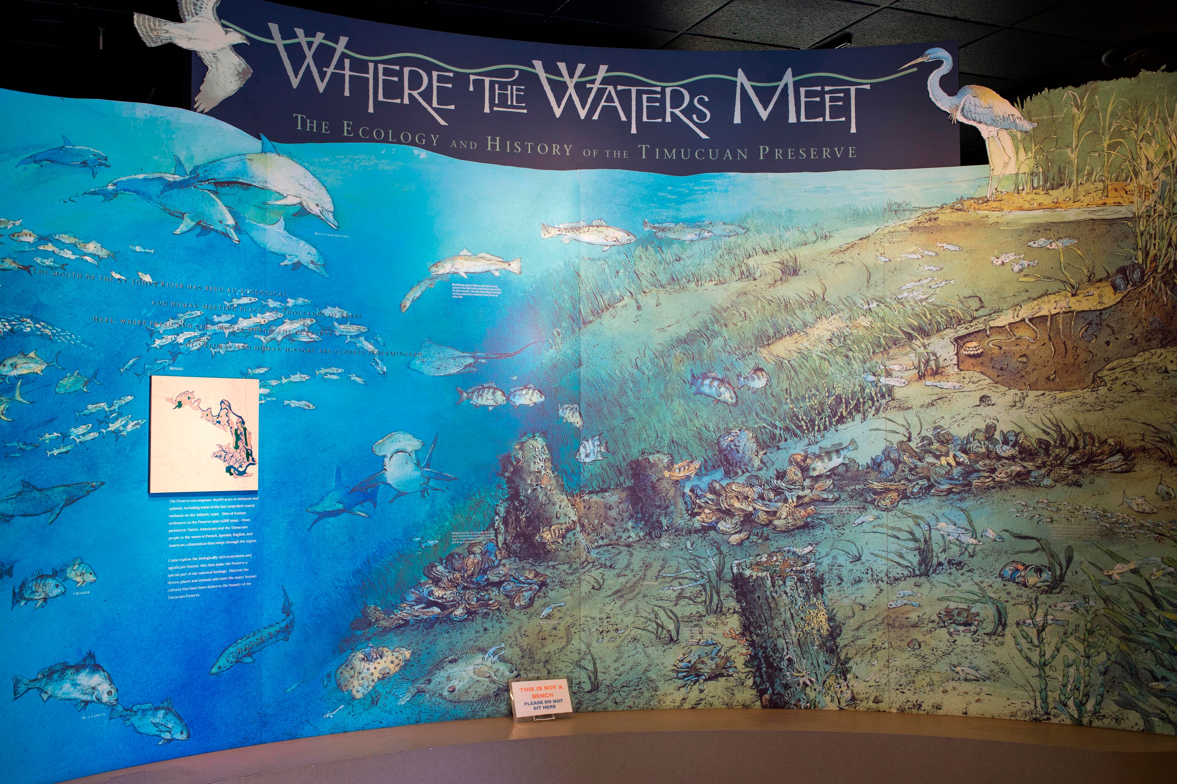 Where the Water Meet