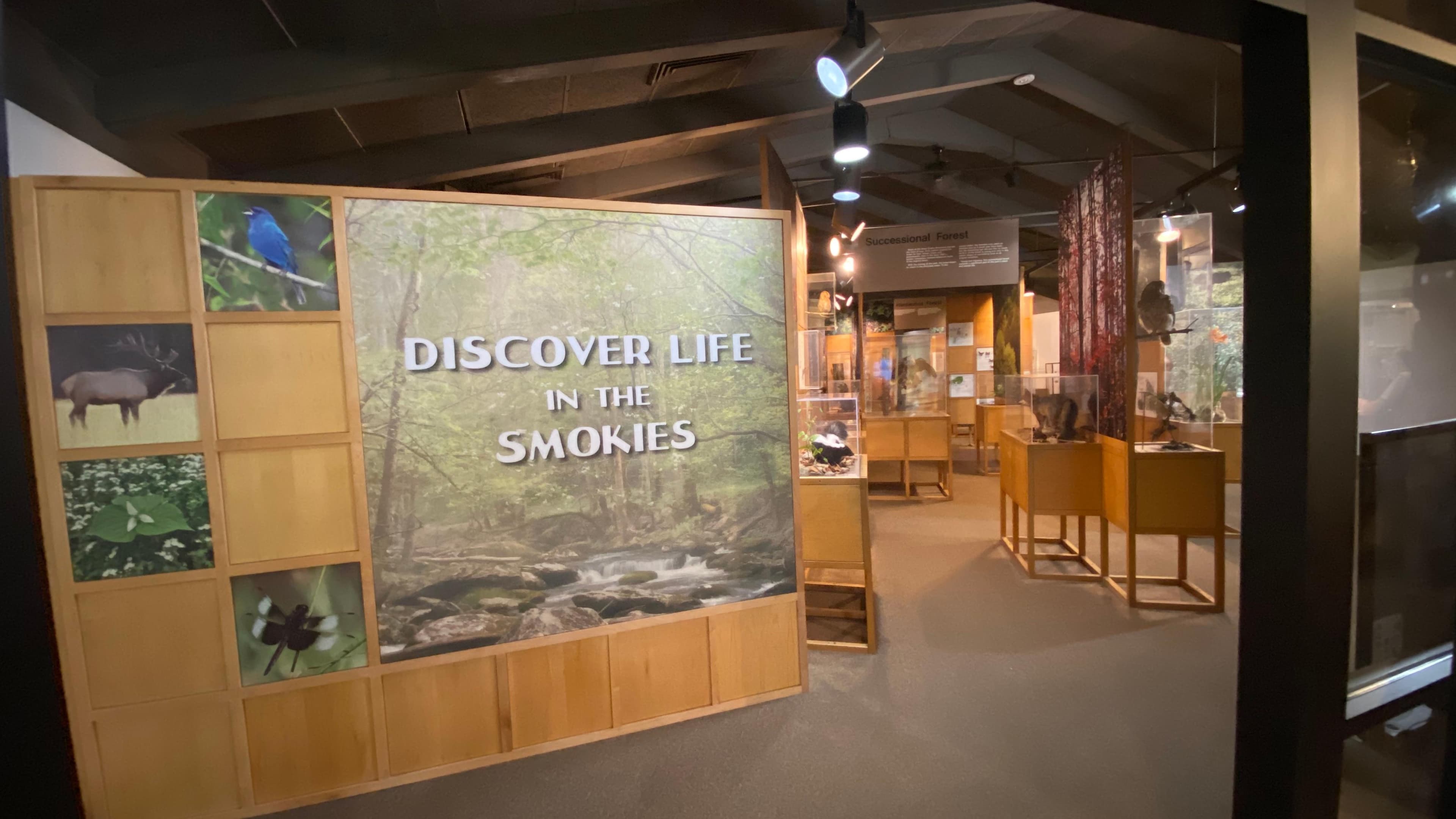 Sugarlands Visitor Center Museum