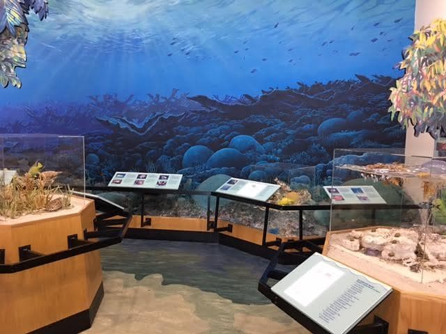 Museum at the Visitor Center