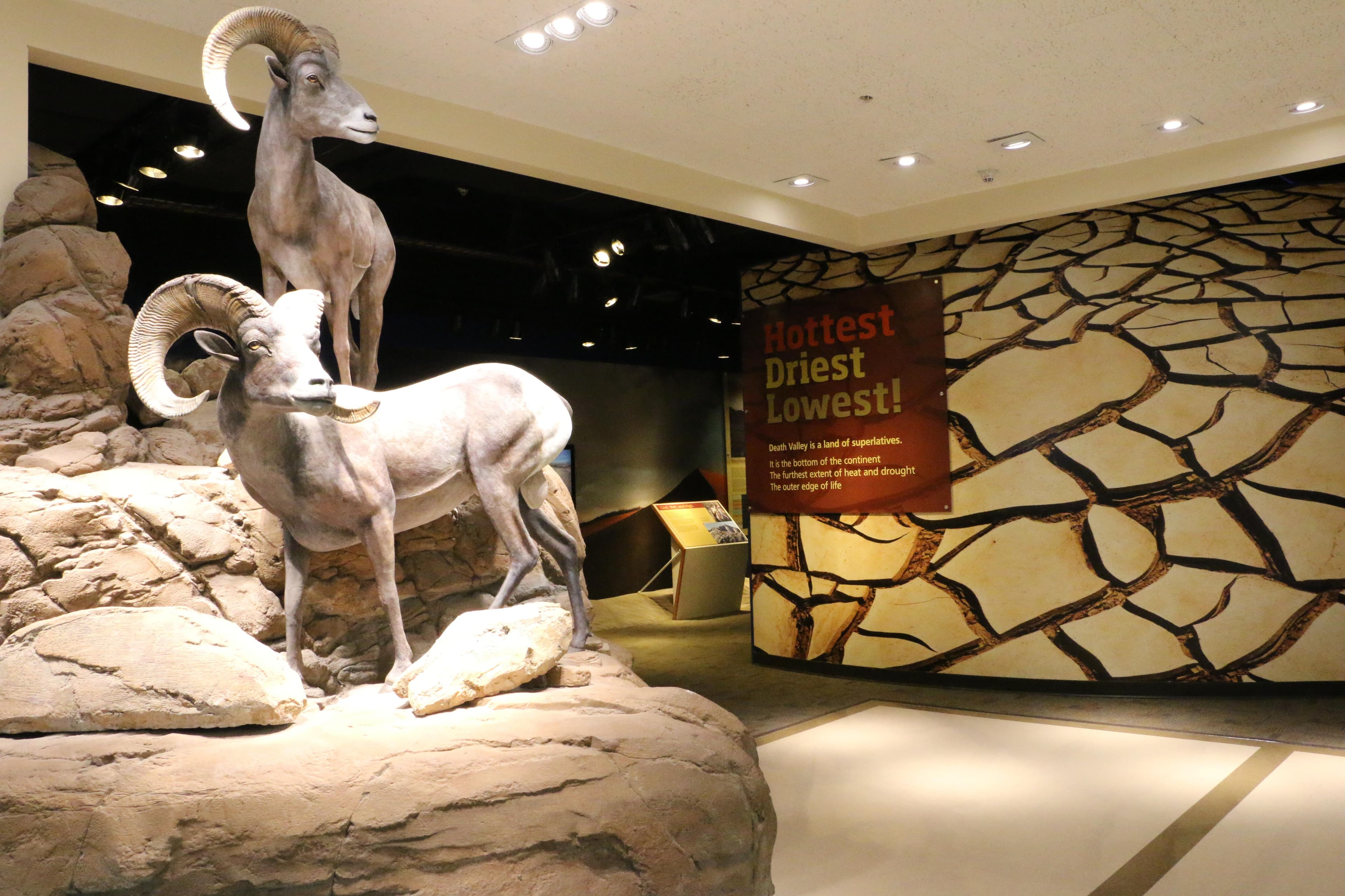 Visitor Center Exhibits