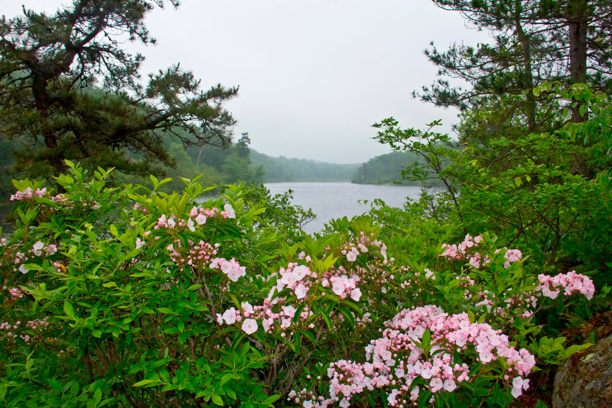 Mohican Outdoor Center Campground