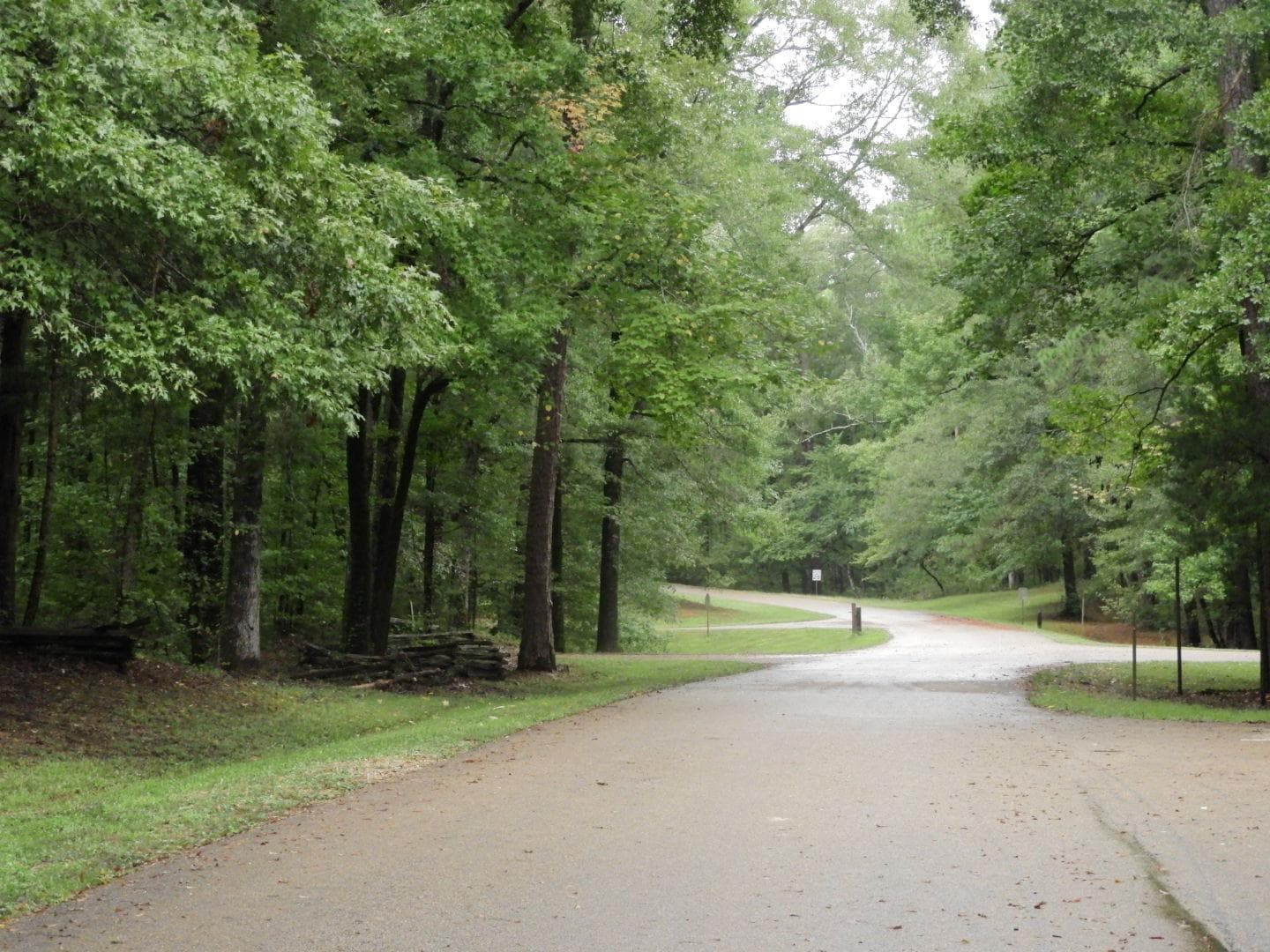 Road into Rocky Springs Campground