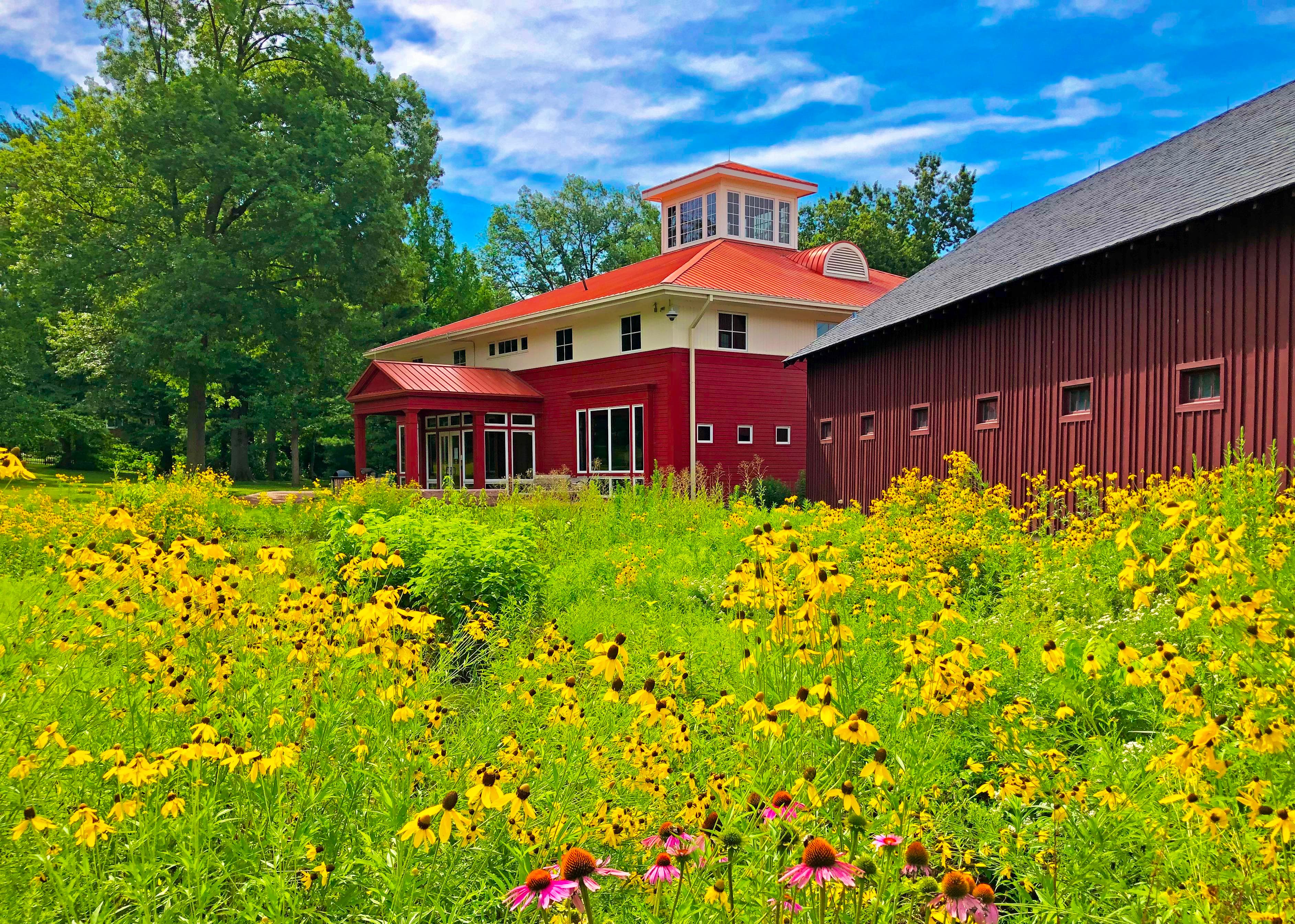 Visitor Center and Rain Garden