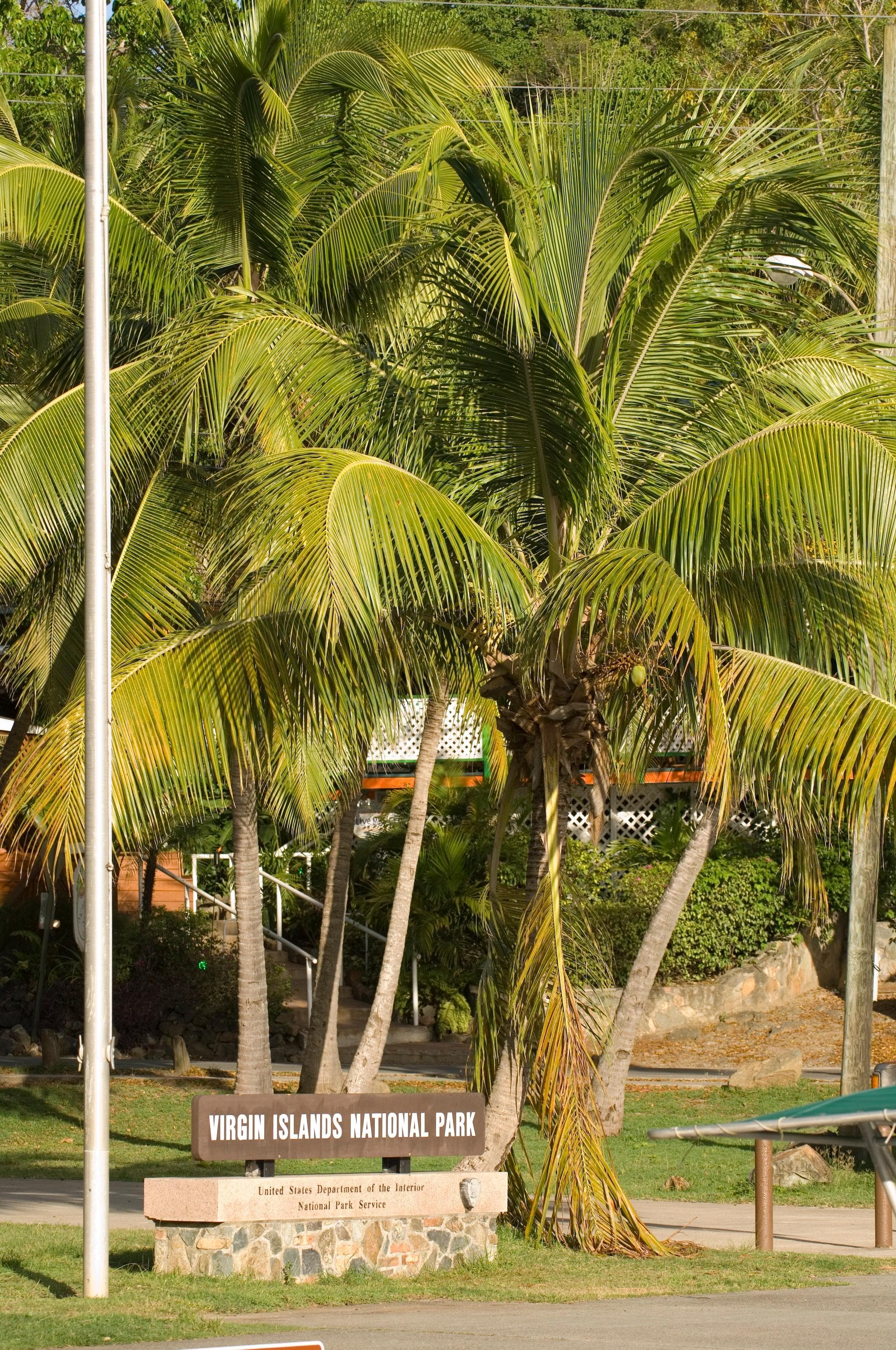 The Greenness of the park at the Cruz Bay Visitor Center