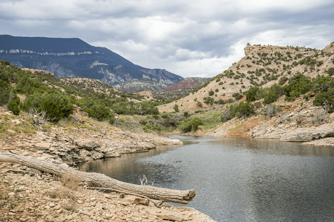 Medicine Creek