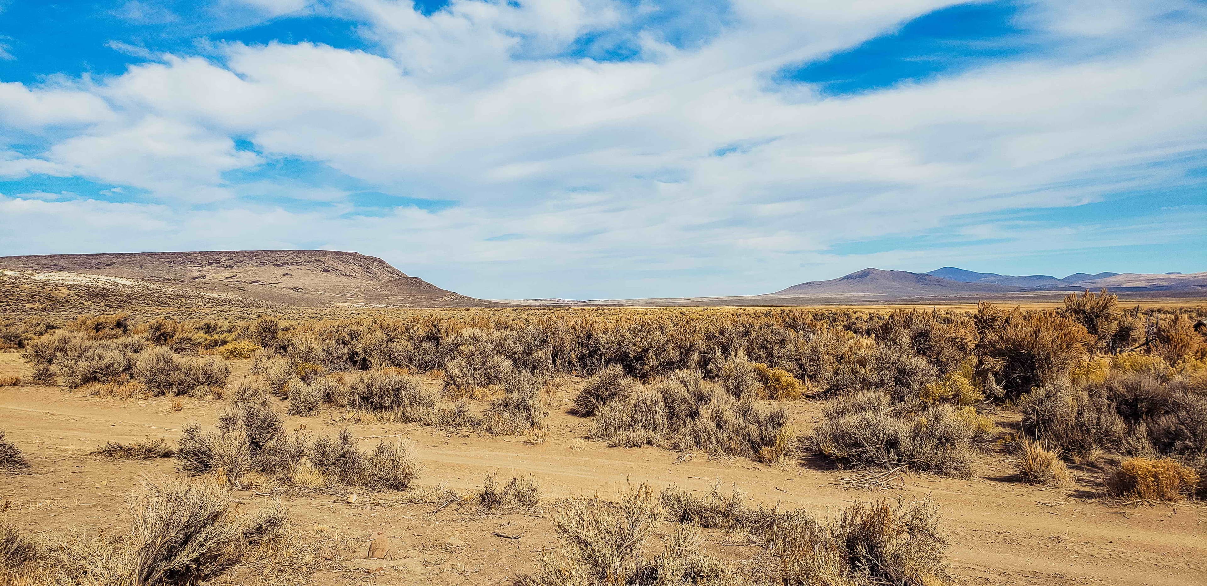 Shirk Ranch landscape