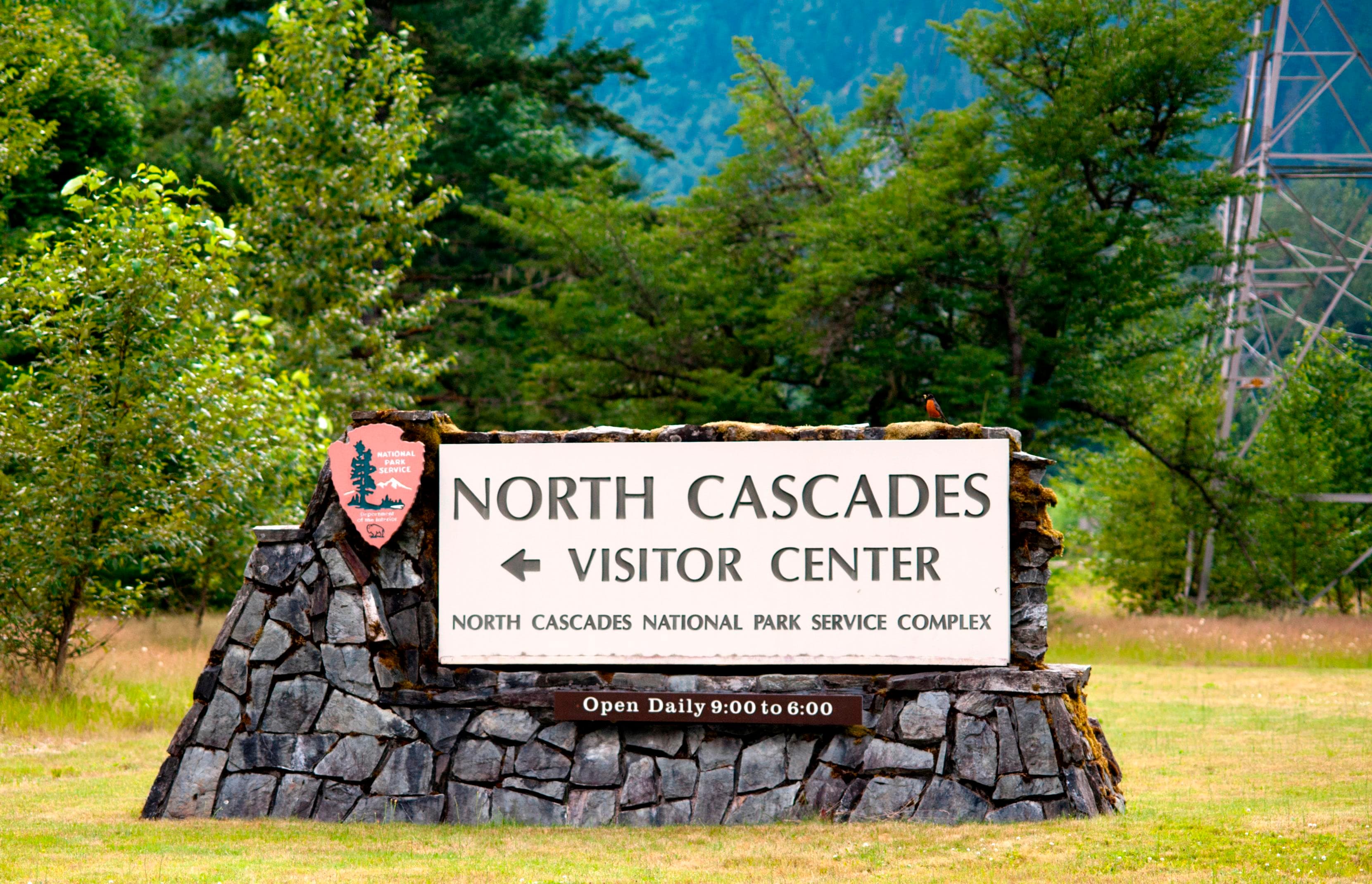 NCVC