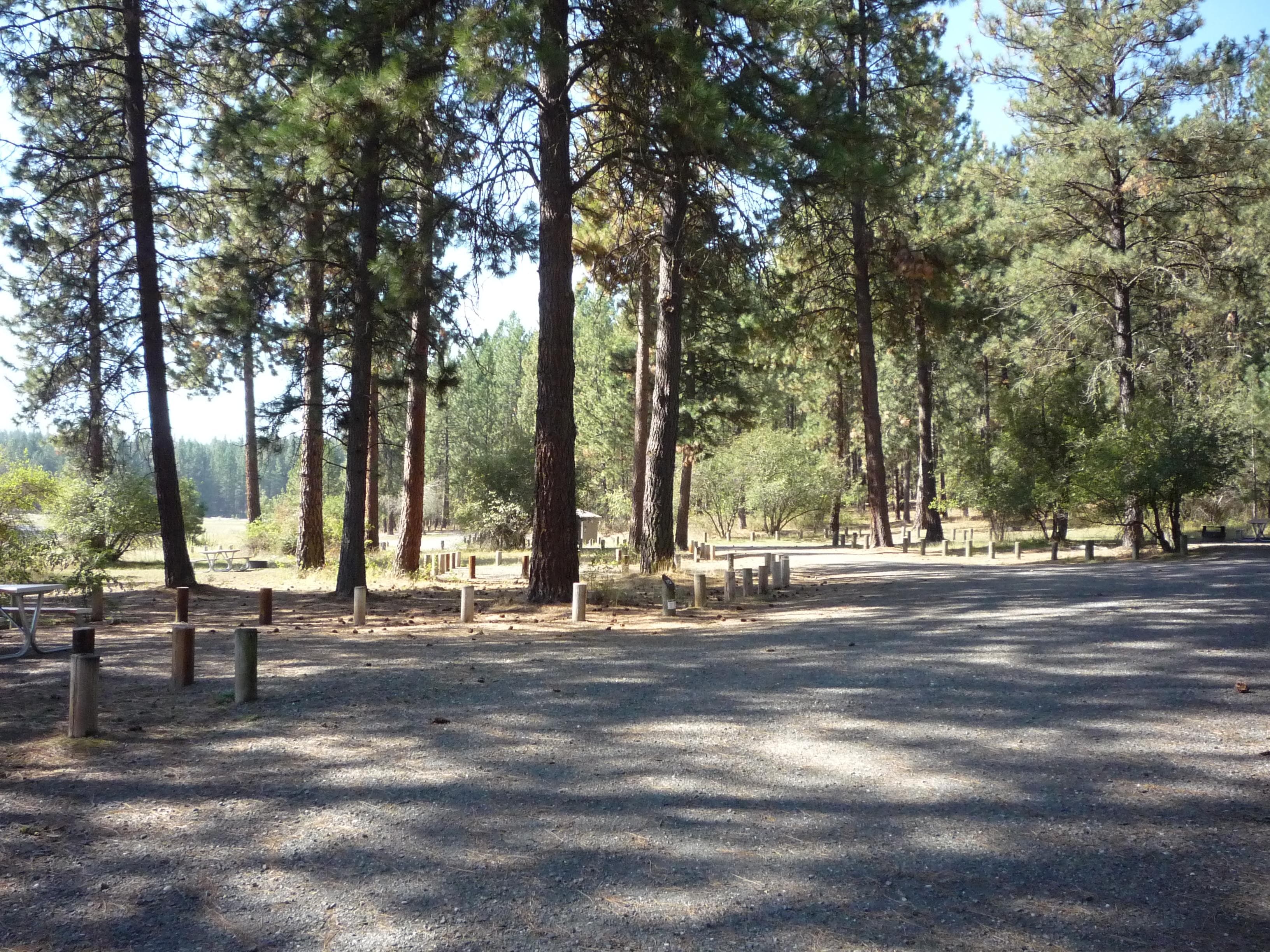 Haag Cove Campground 2