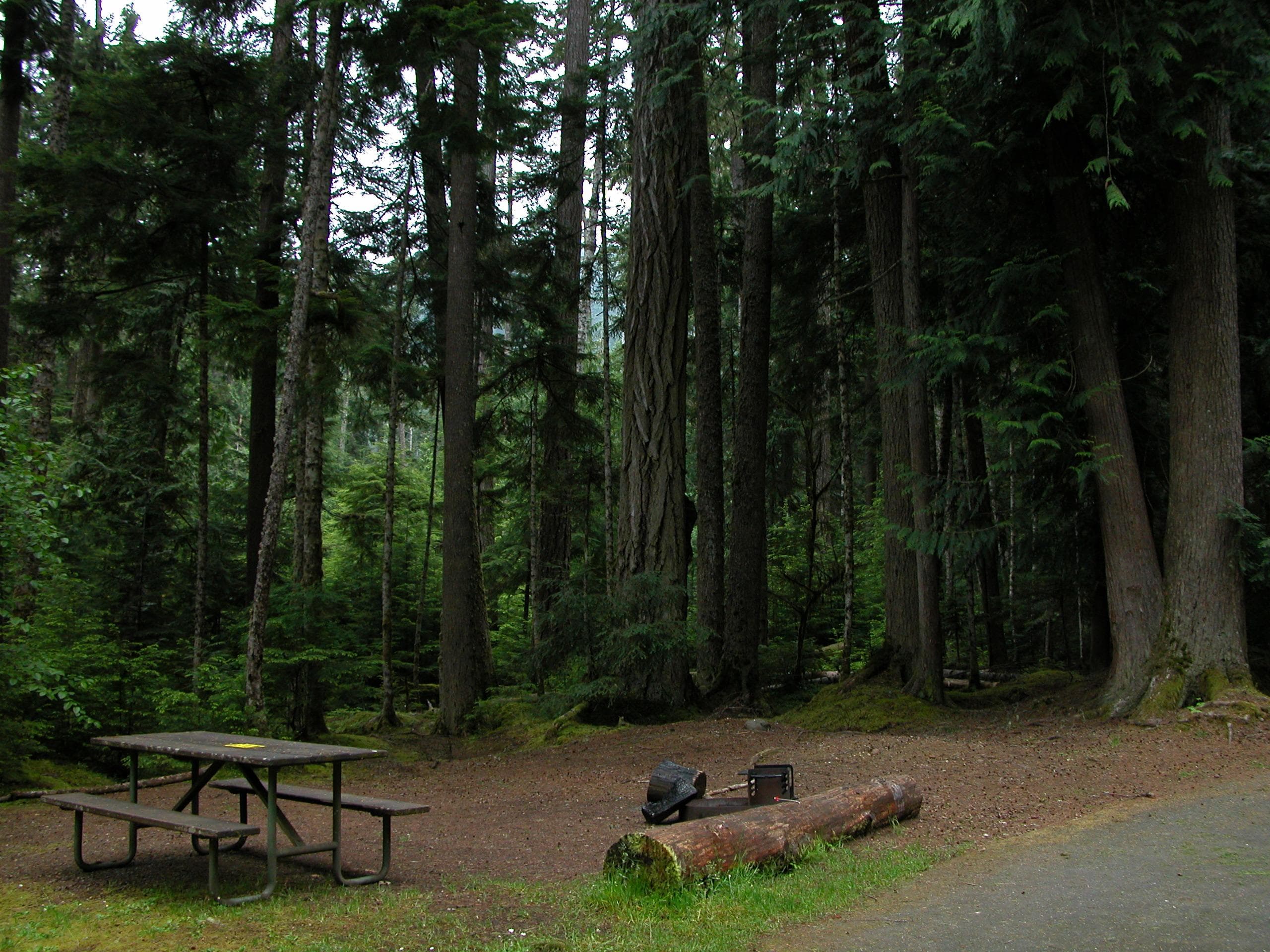 heart campground site