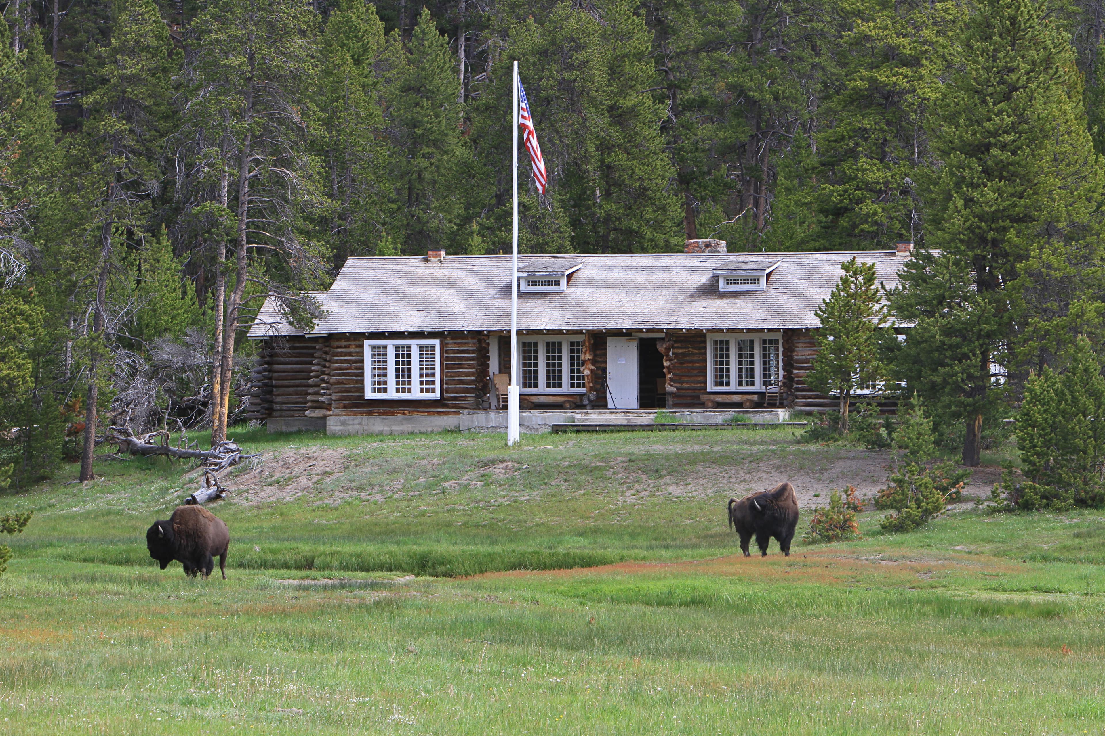 Museum of the National Park Ranger back
