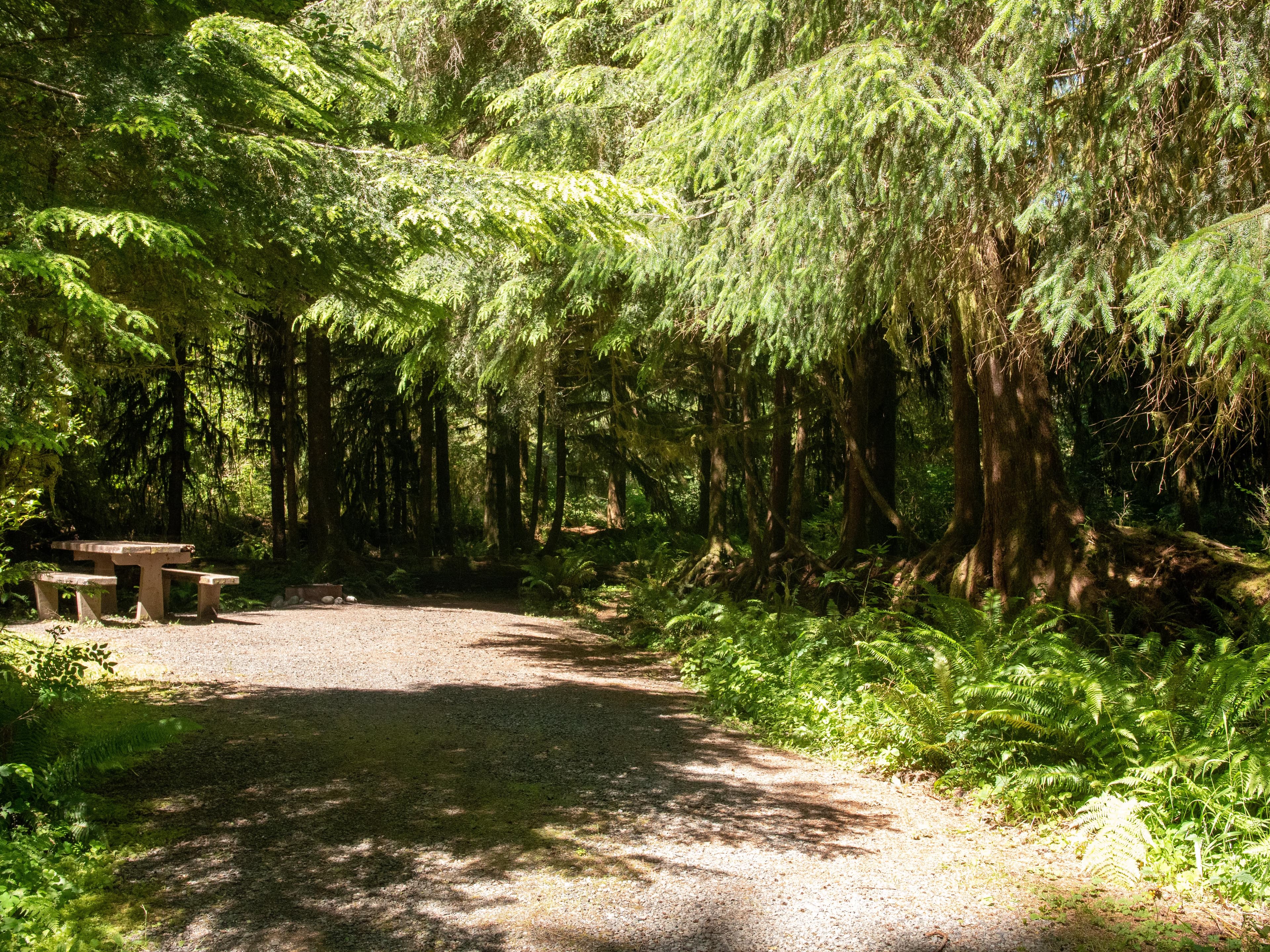 North Fork Campground 01