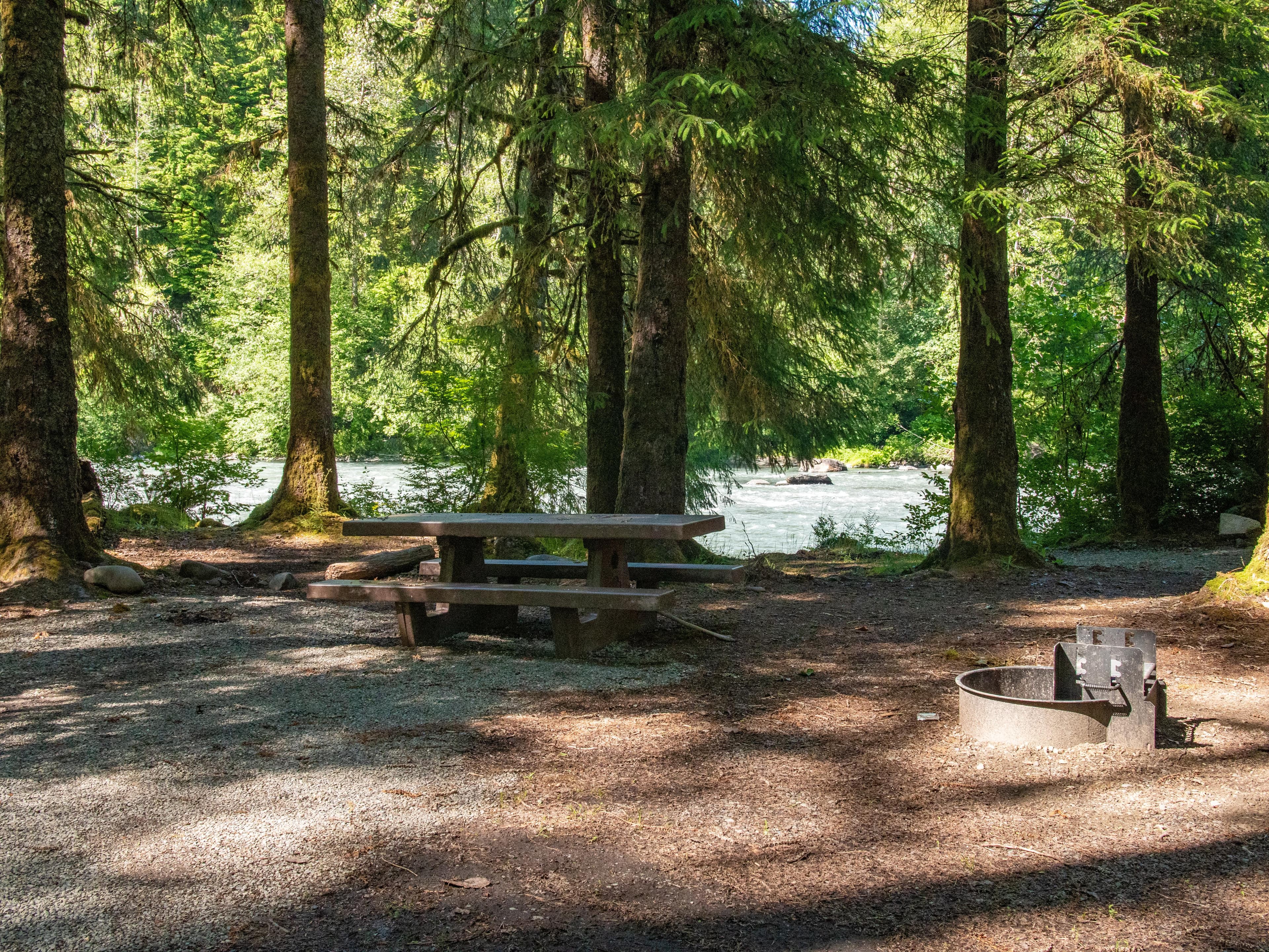 Queets Campground 01