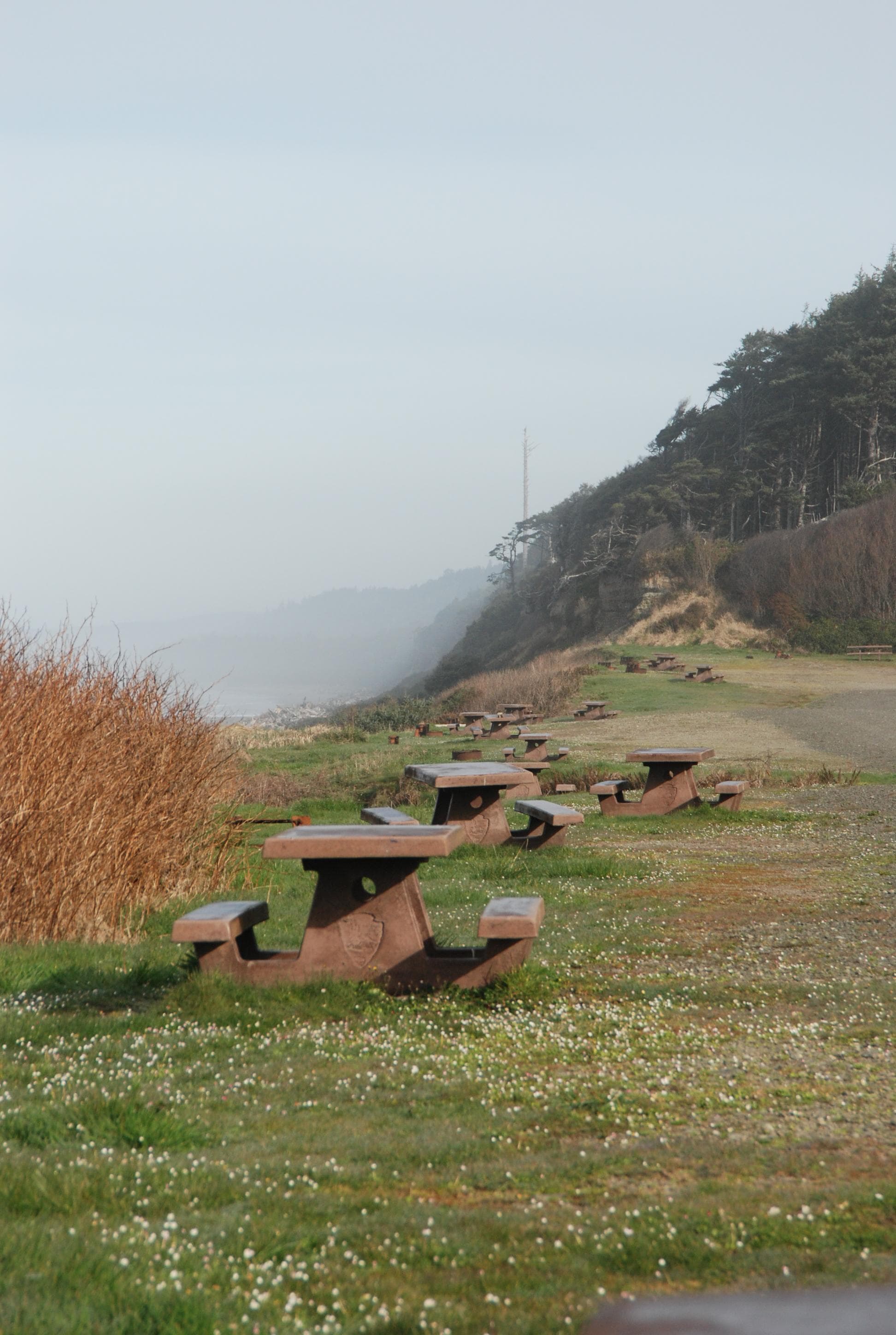 South Beach Campground 01