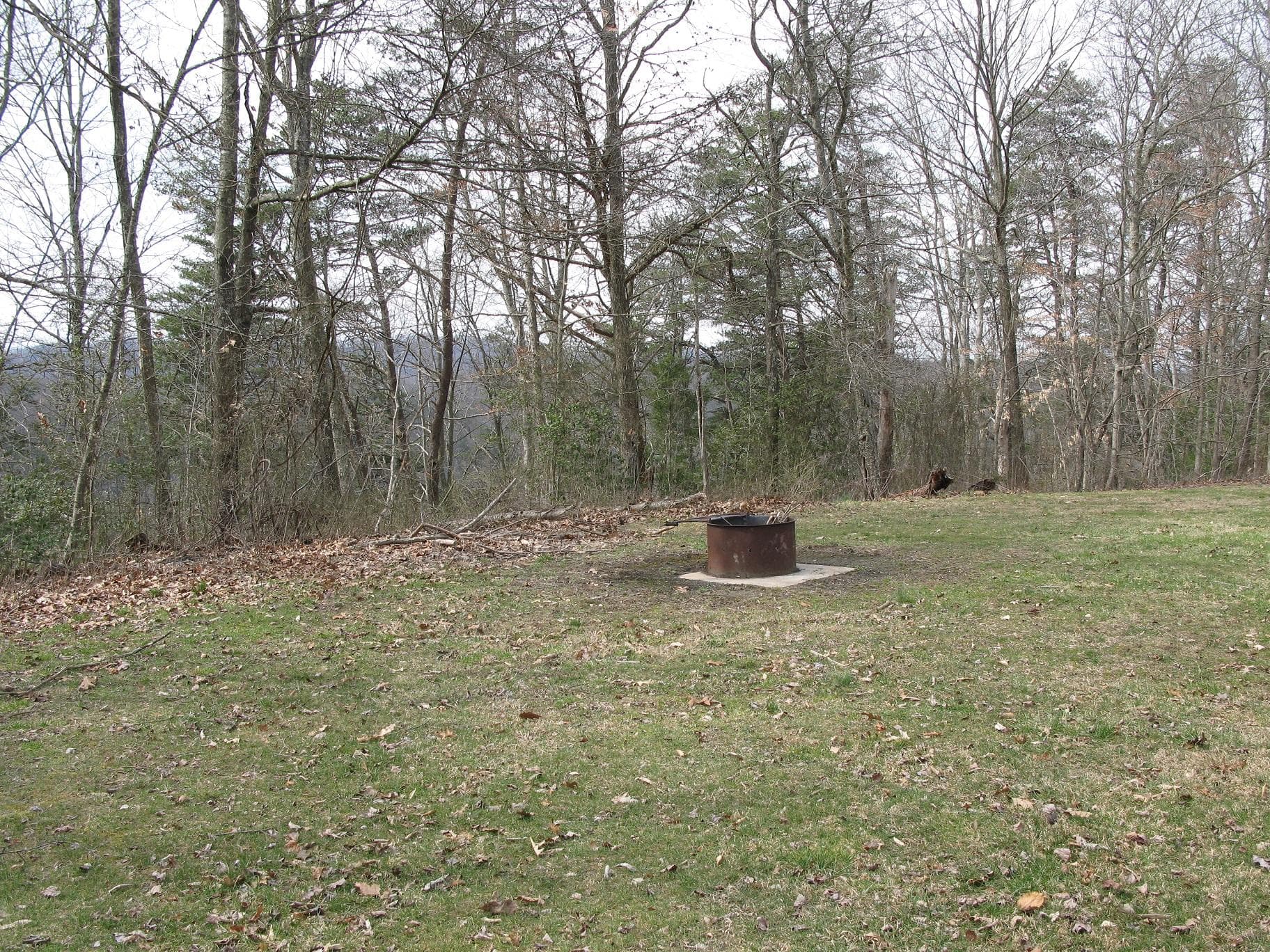 Burnwood Groups Site