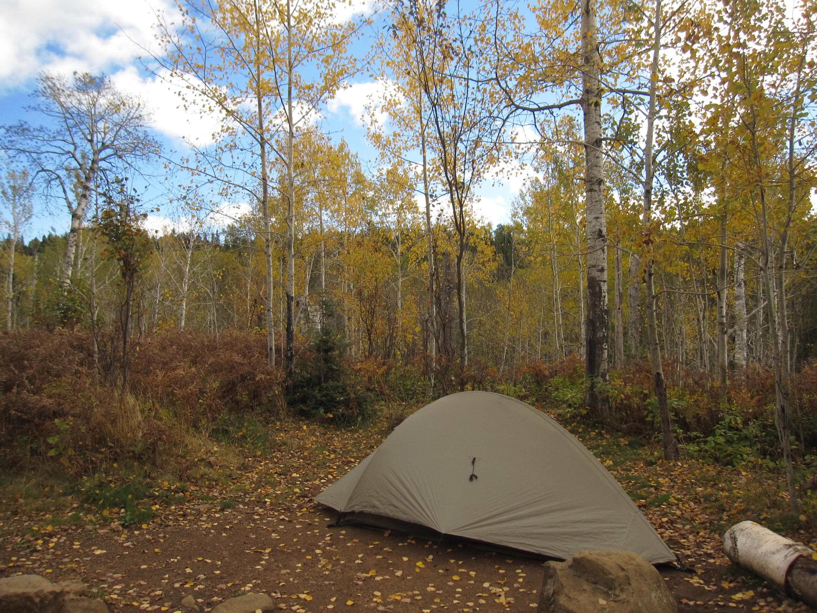 East Chickenbone Campground Tent Site