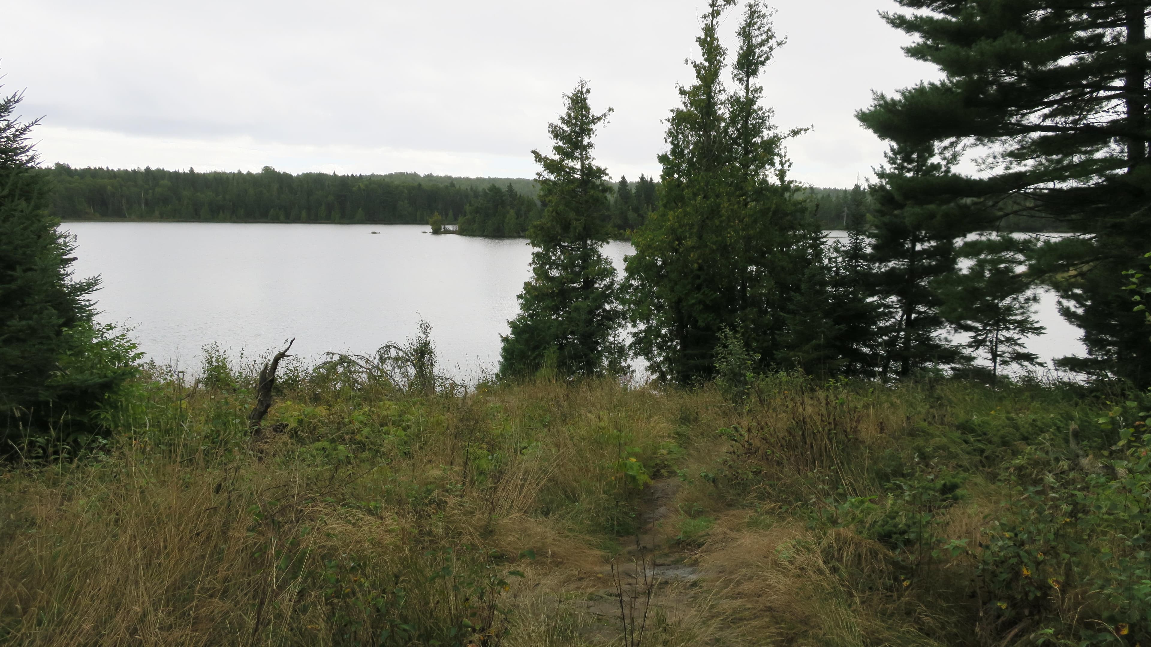 View of Lake Richie from Tent Site #3