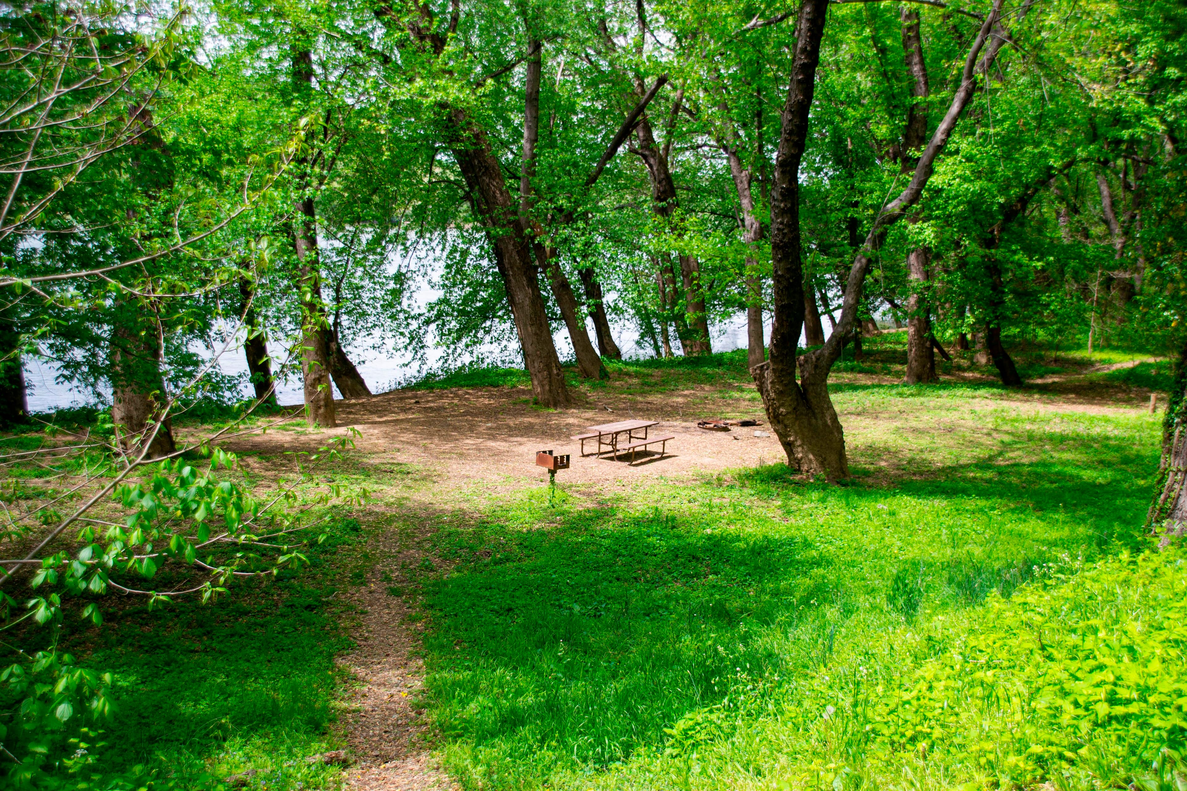 Bald Eagle Campground
