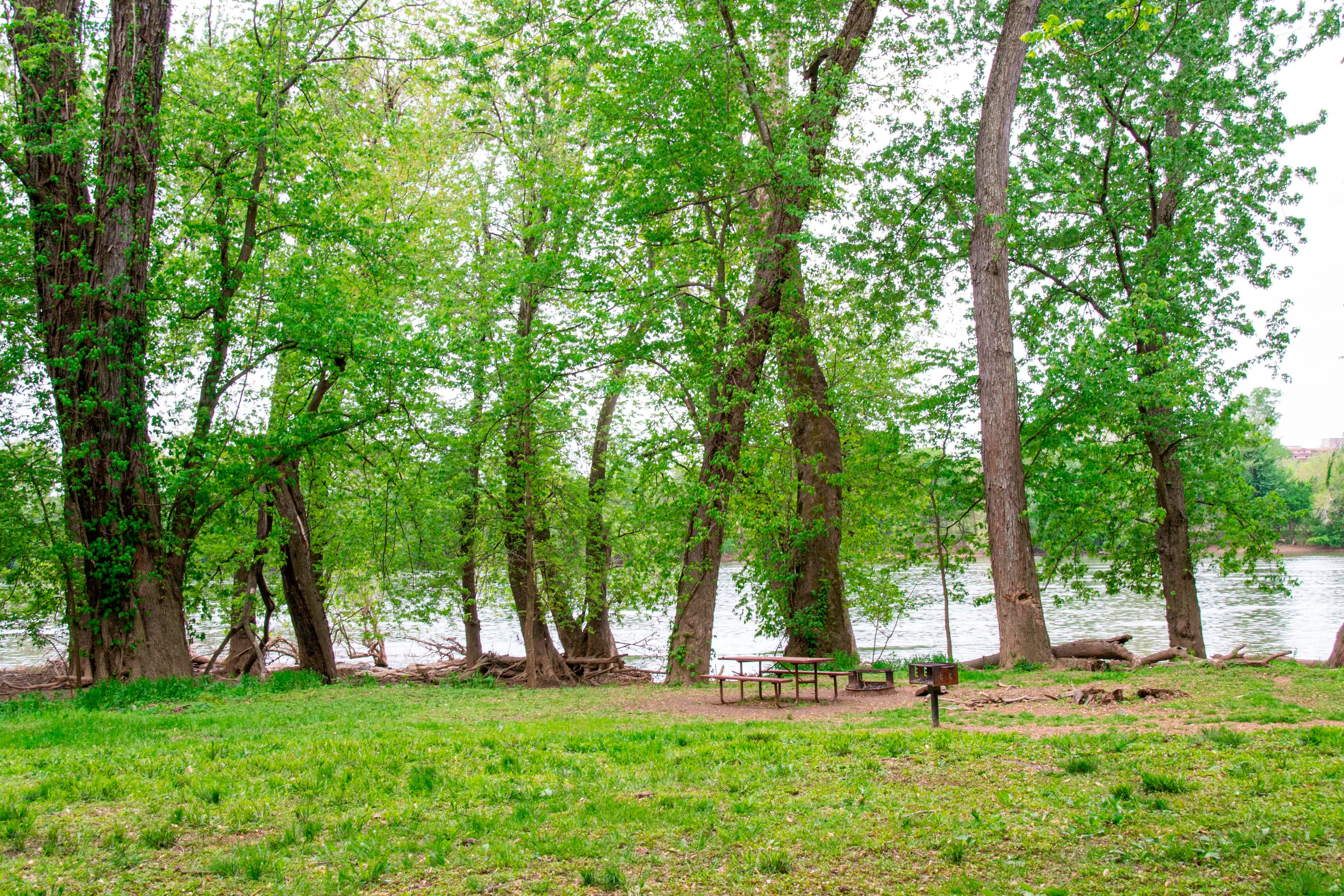 Chisel Branch Campground