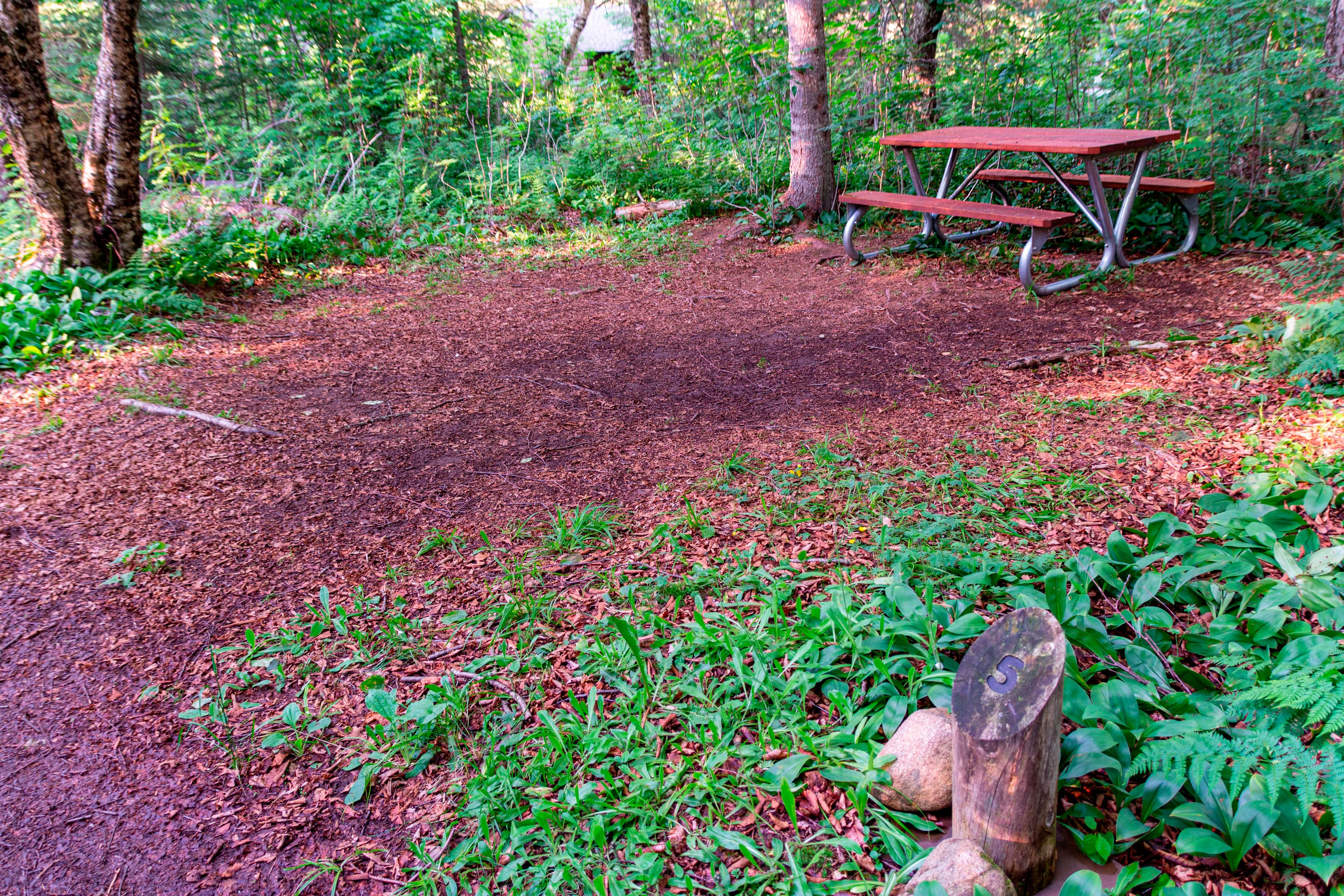 Washington Creek Campground Tent Site #5