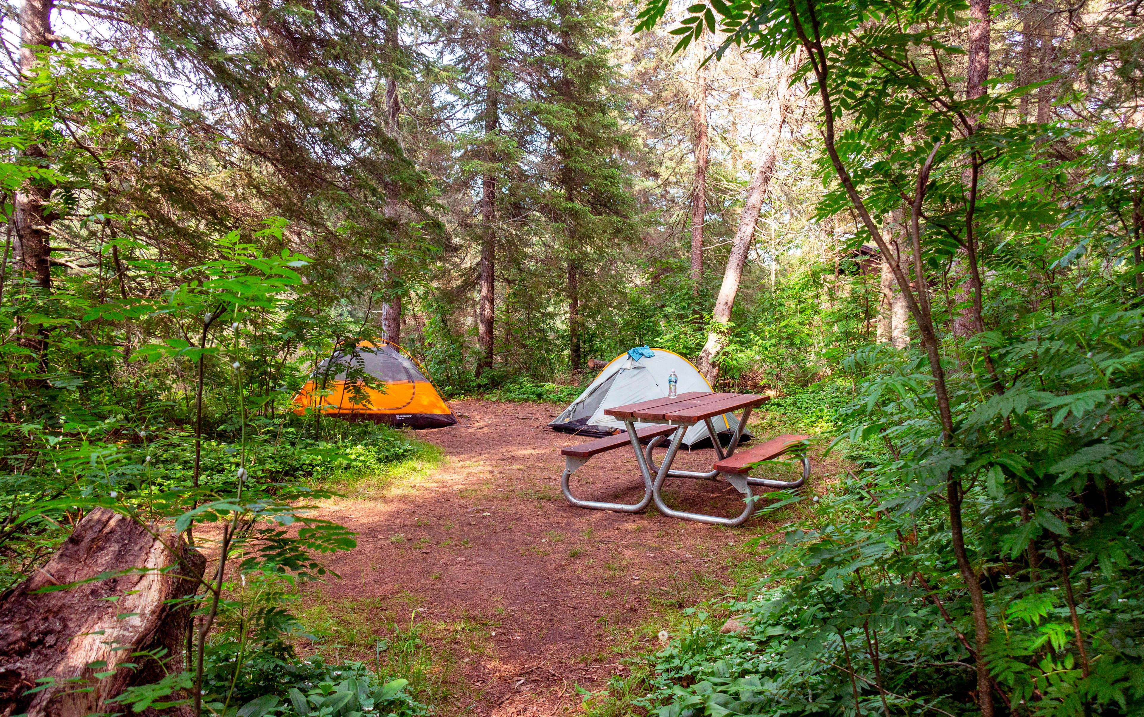 Washington Creek Campground Tent Site
