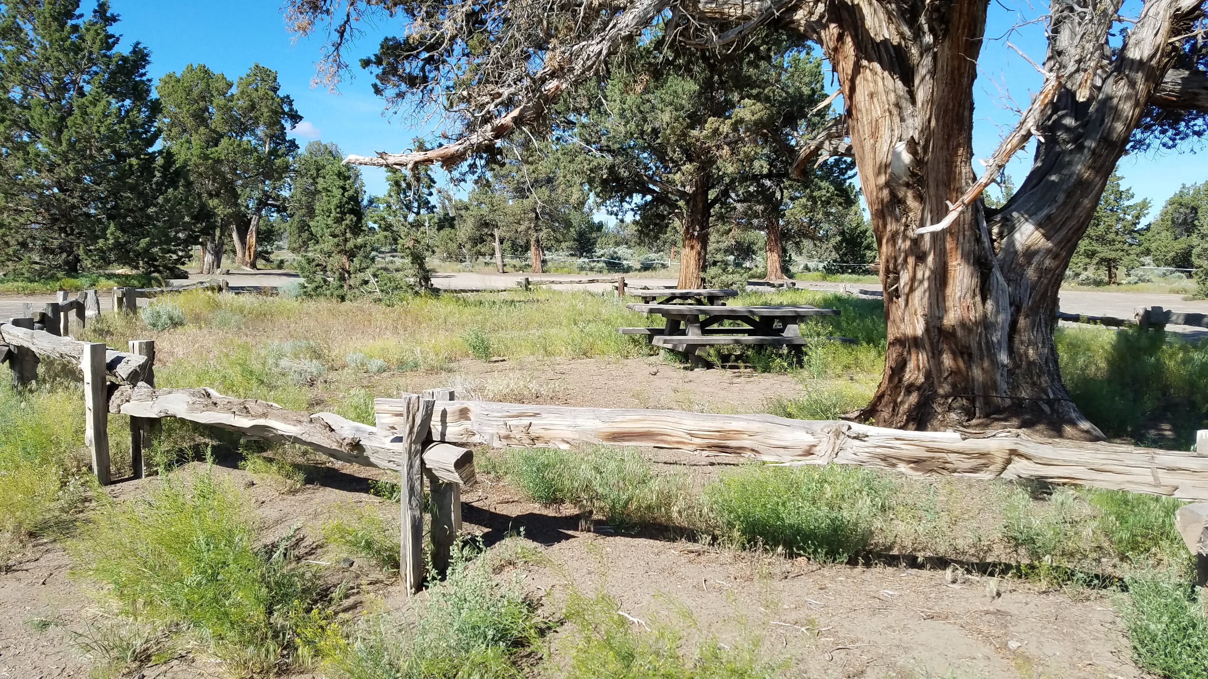 Picnic tables at Alfalfa Curves OHV Staging Area