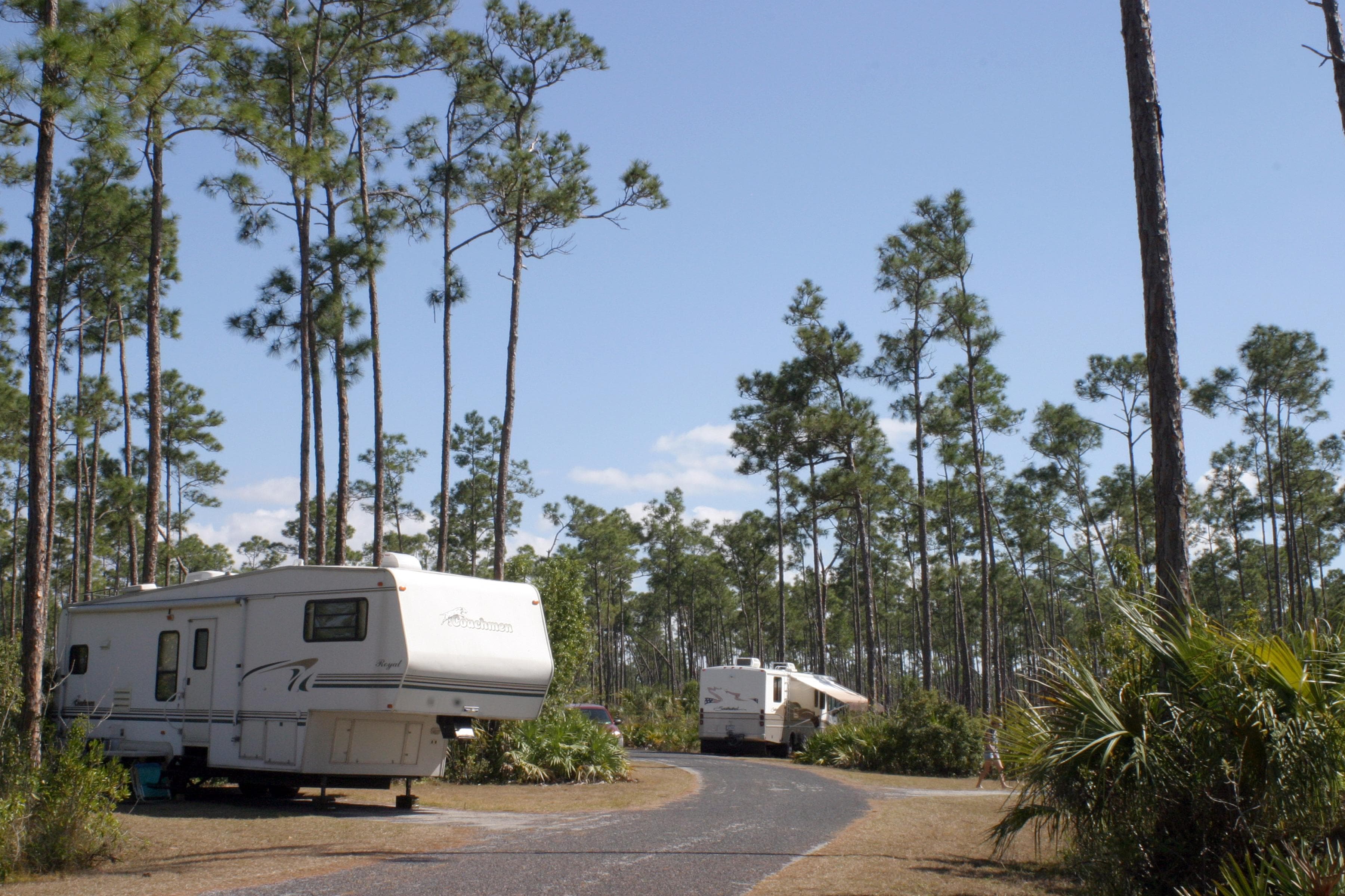 RV's at Long Pine Key
