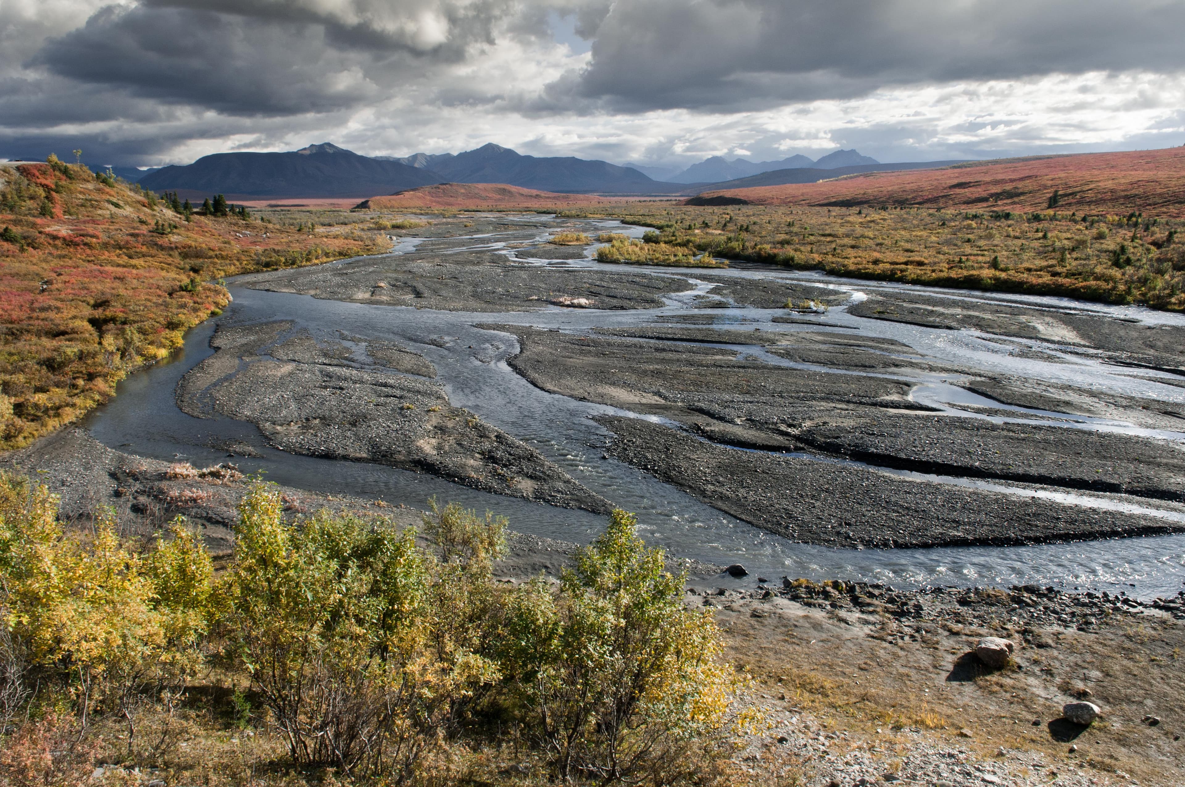 Savage River