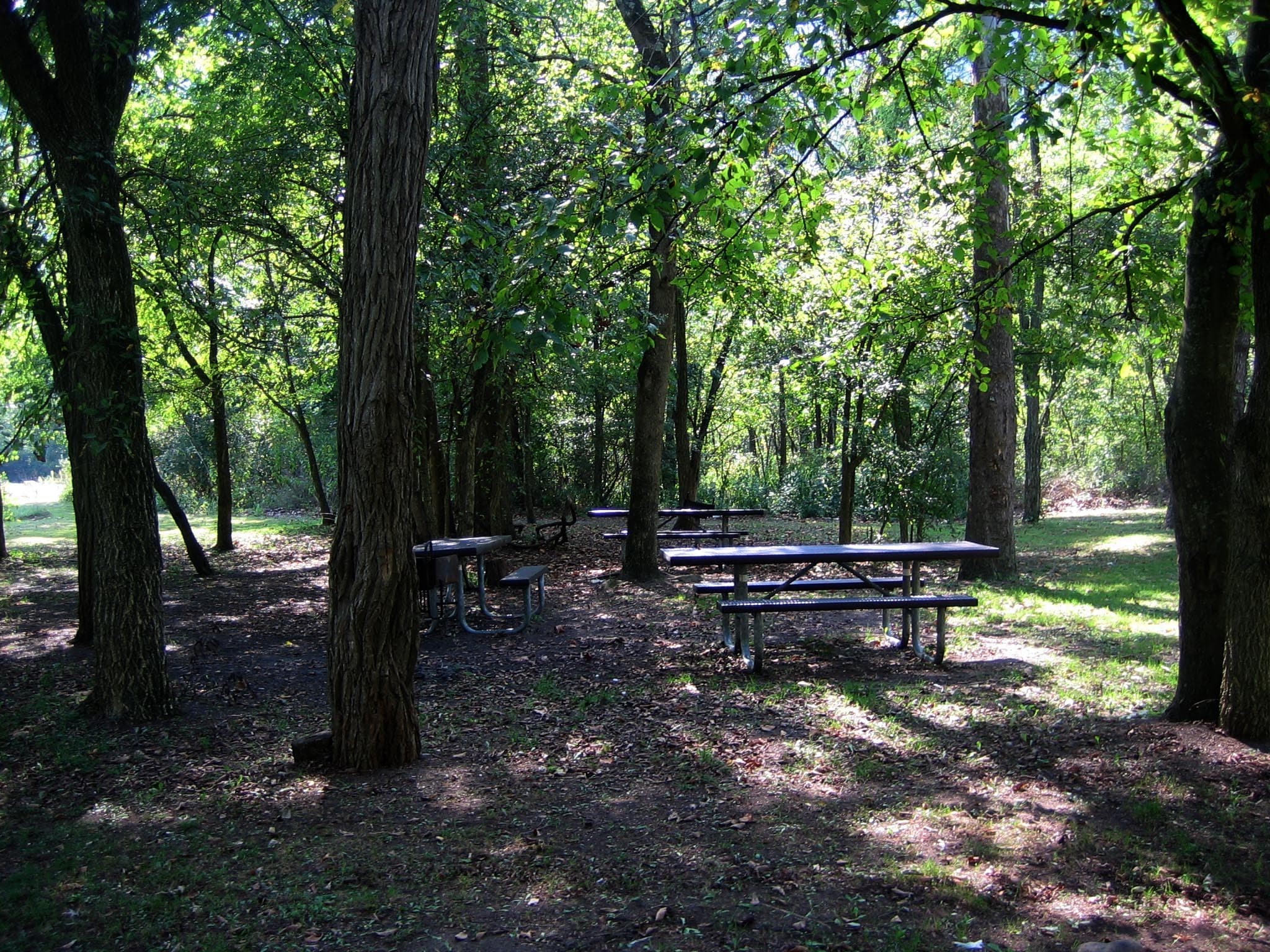Army Camp Picnic Area