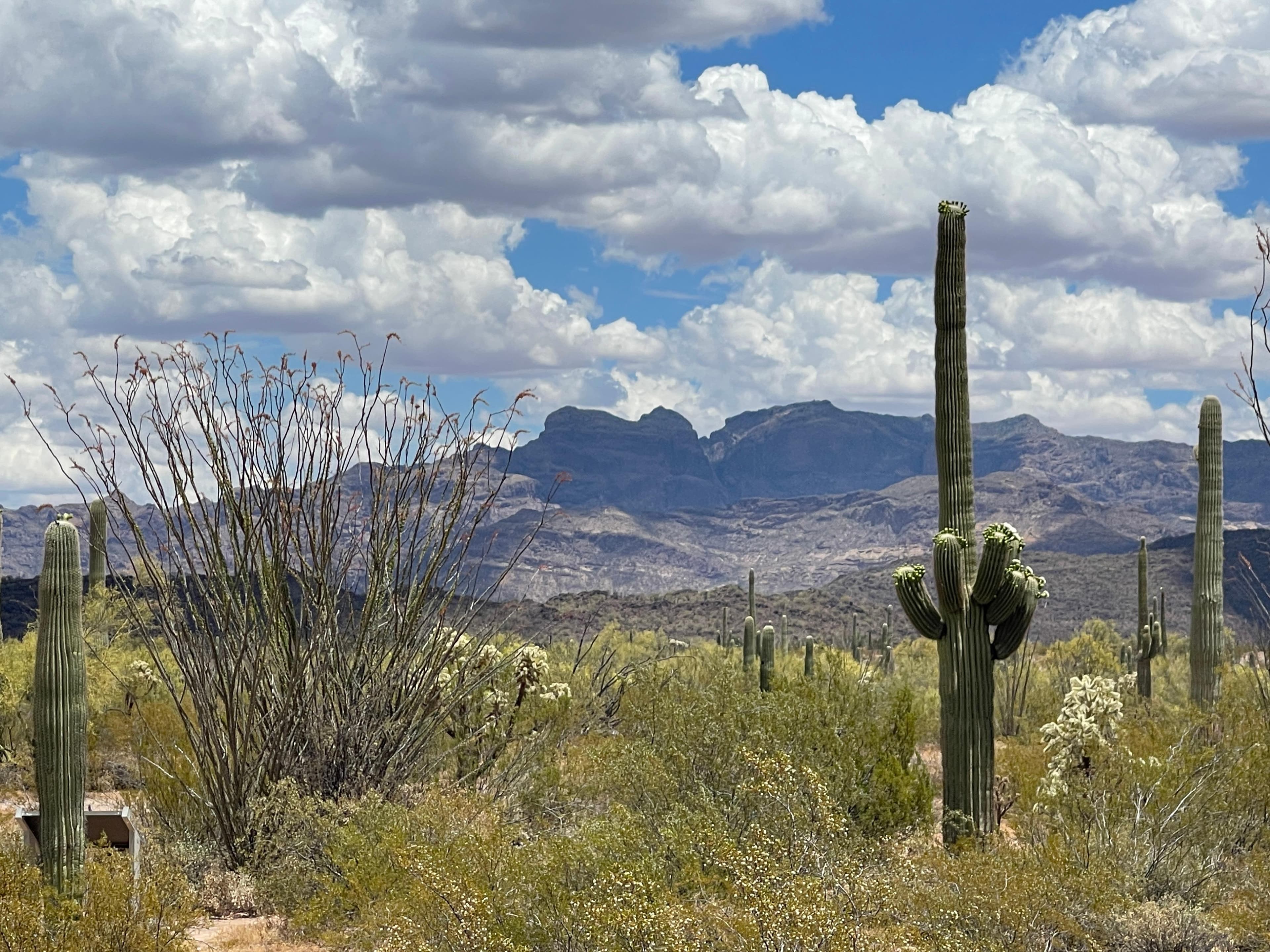 View from the Nature Trail