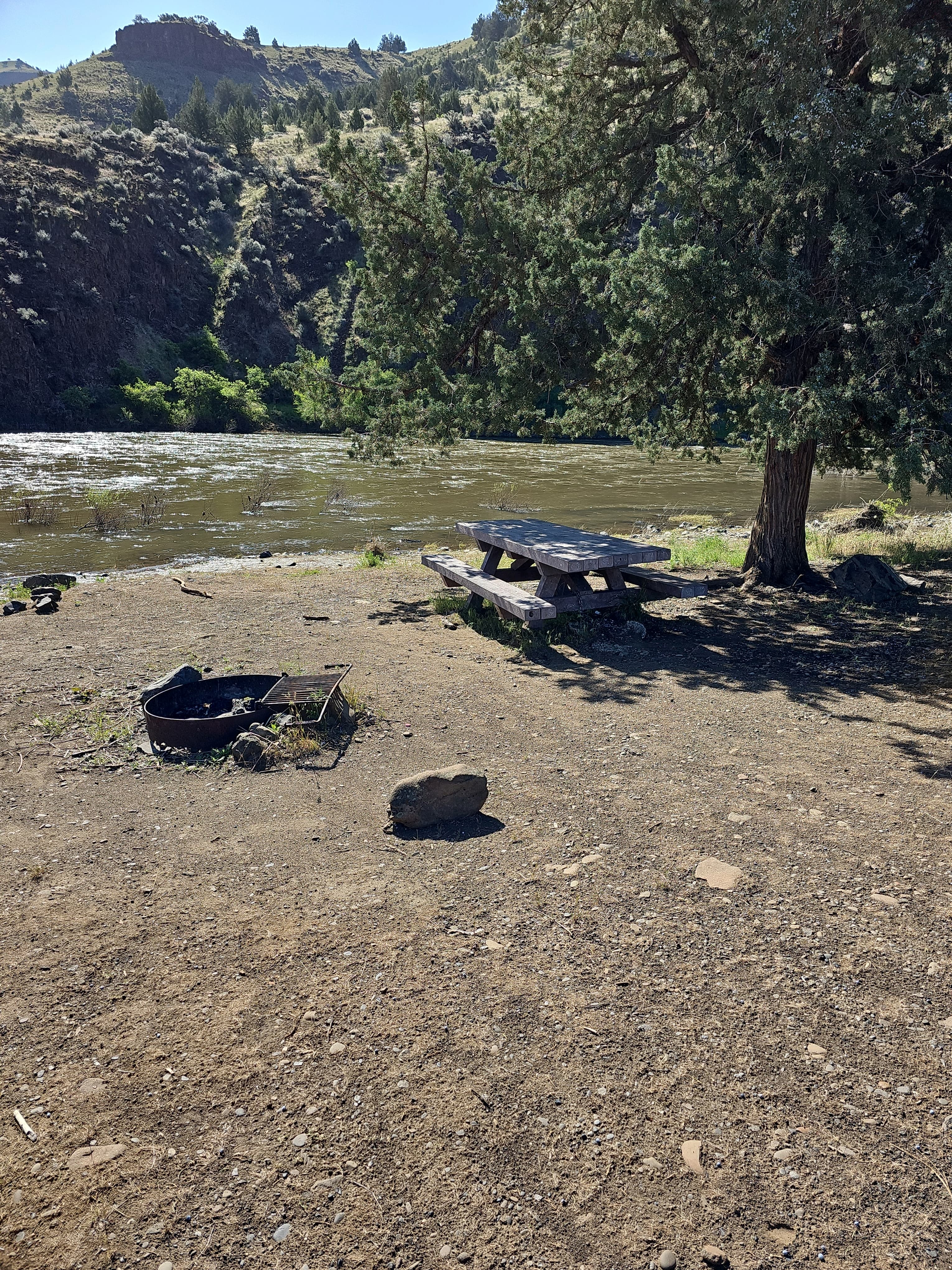Riverside campsite at Donnelly Service Creek River Access Park 