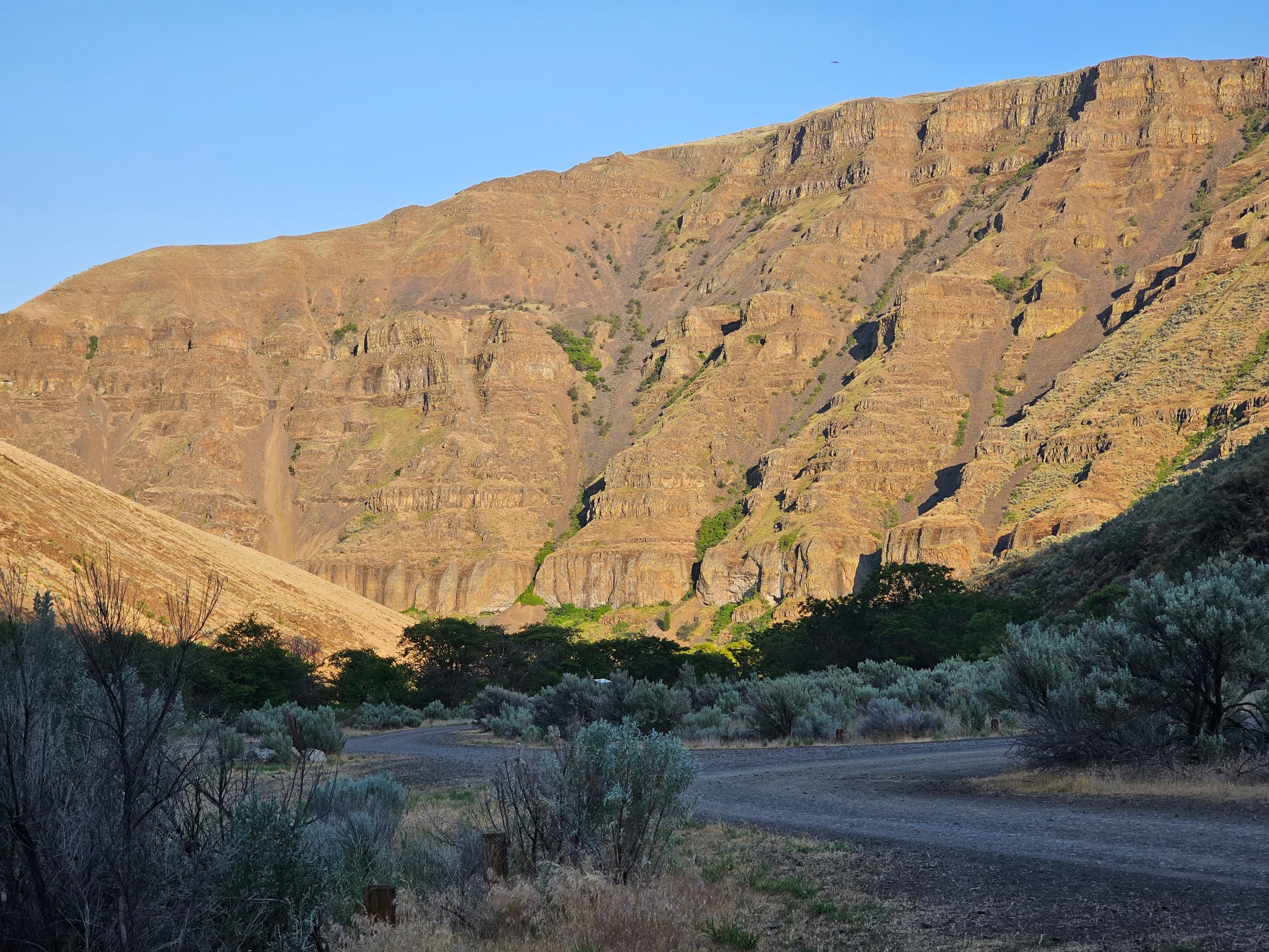 Evening light at Beavertail Campground.
